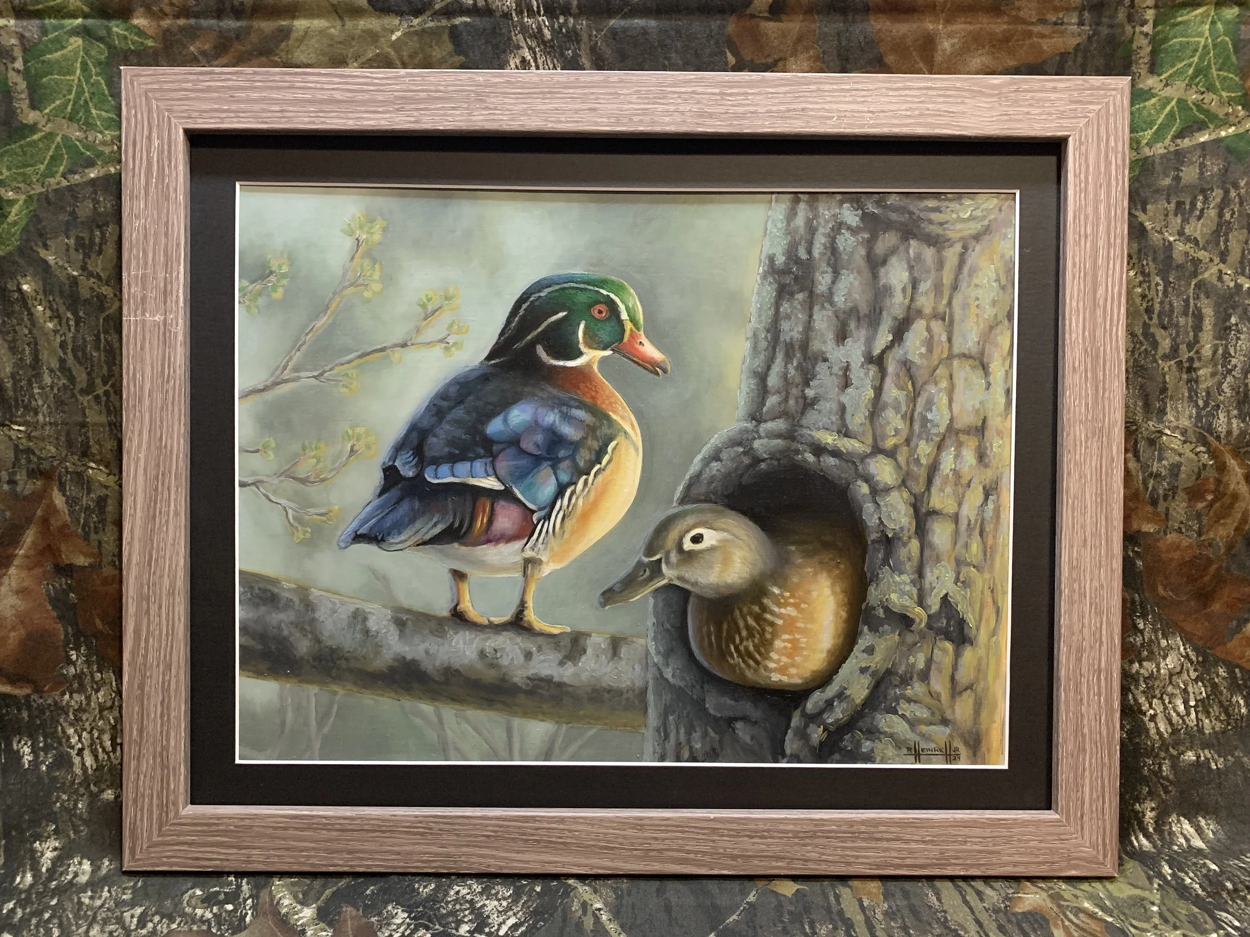 Wood Ducks.JPG