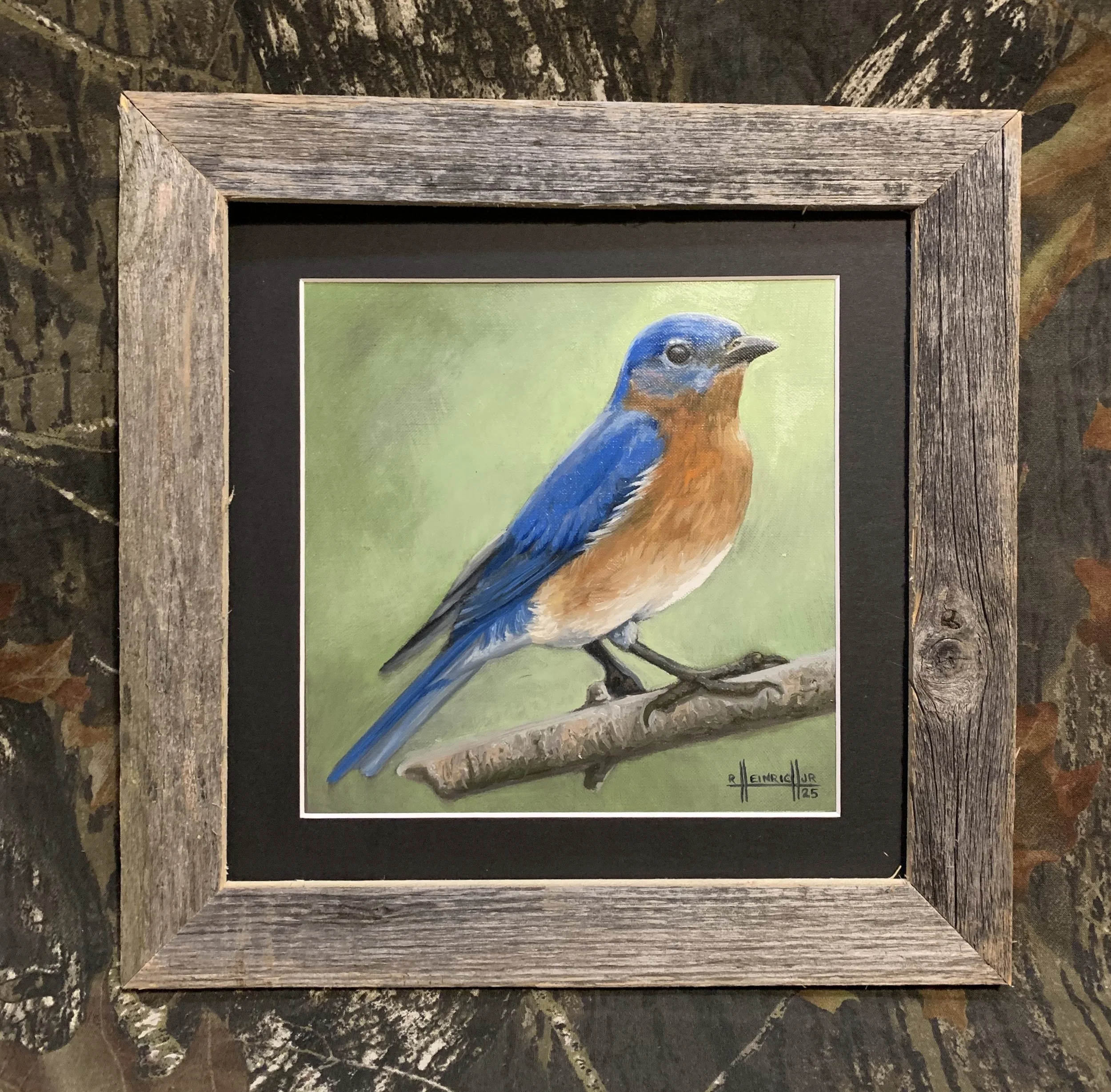 Bluebird.JPG