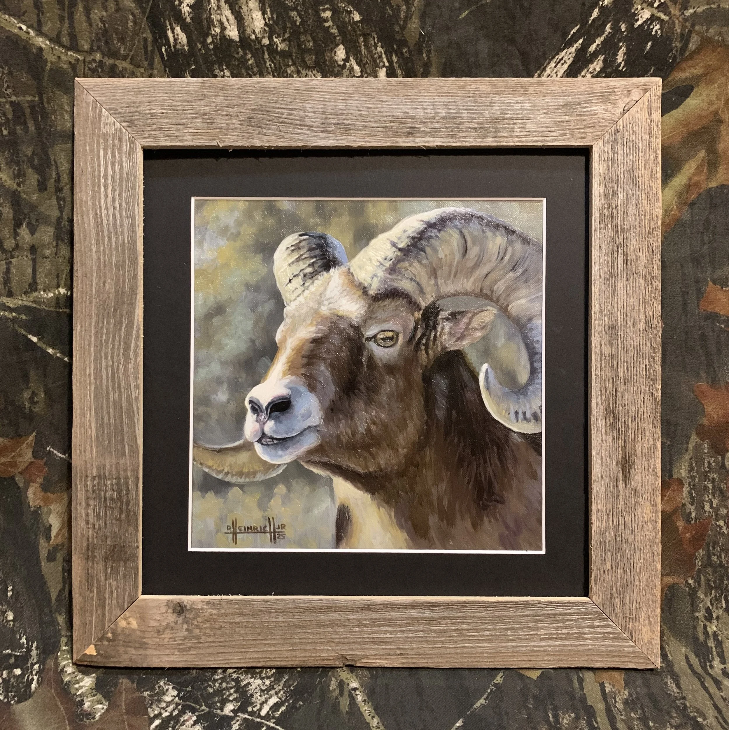 Bighorn Ram.JPG