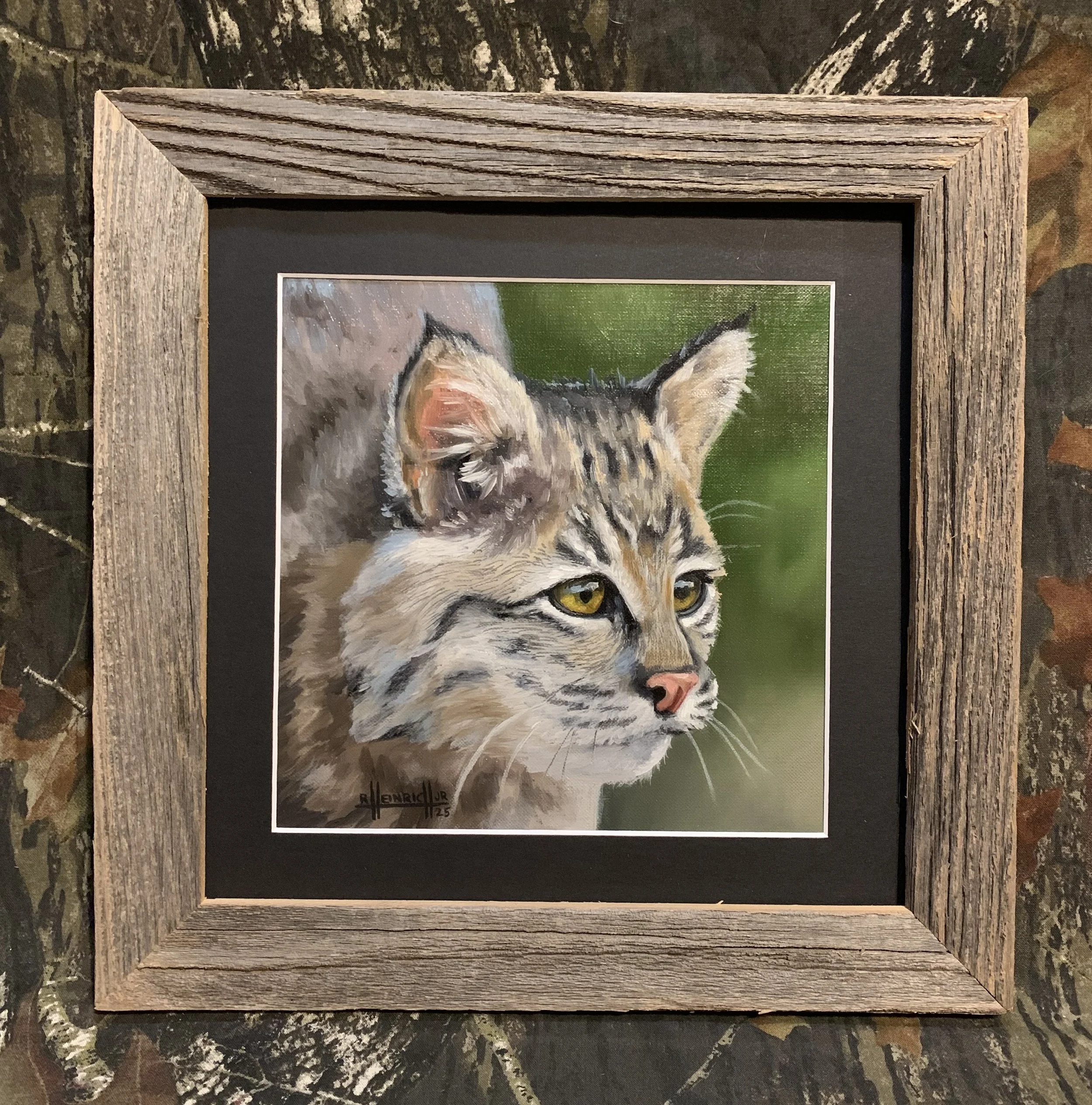 Bobcat.JPG