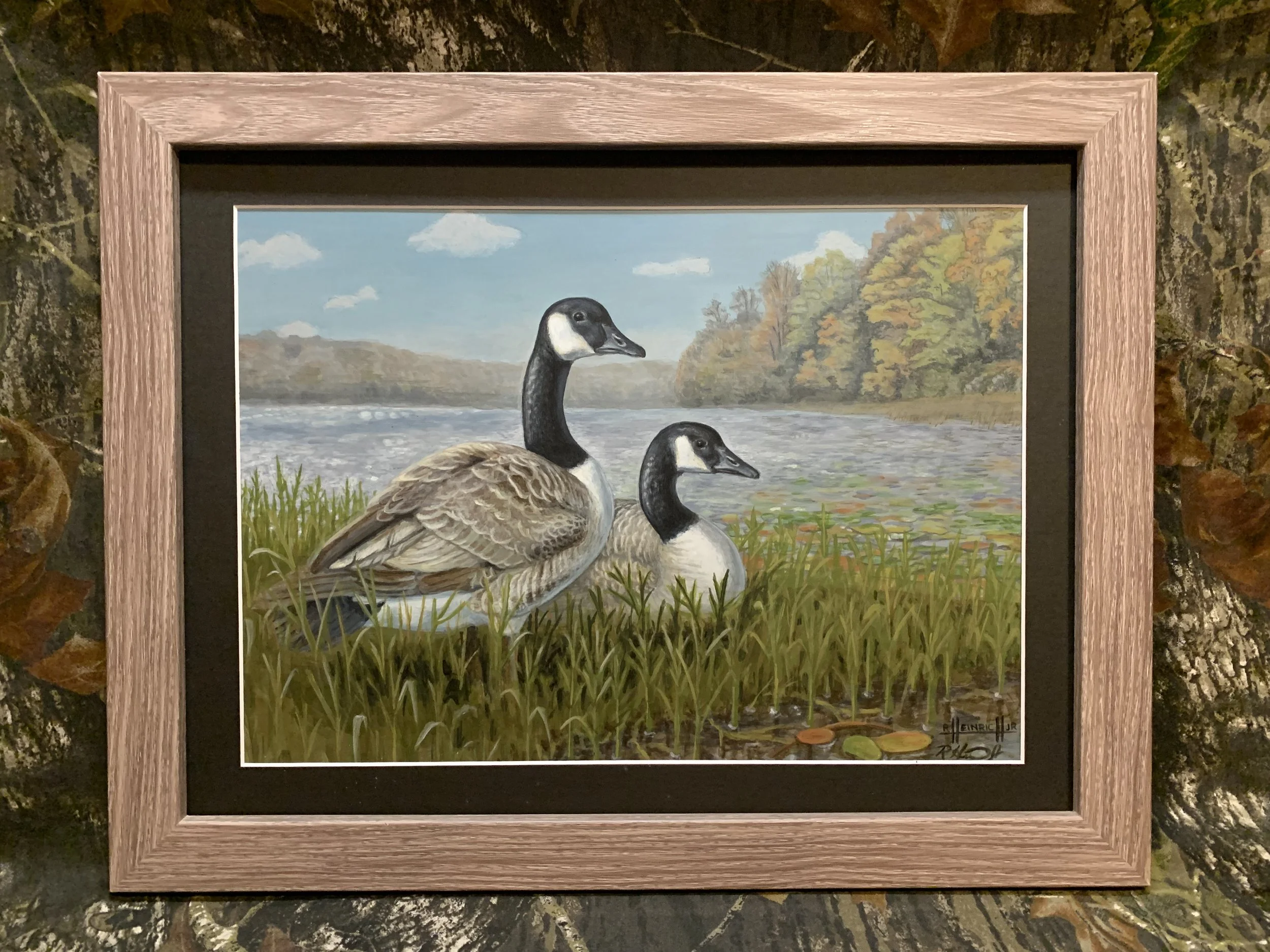 Canada Geese Pair.JPG