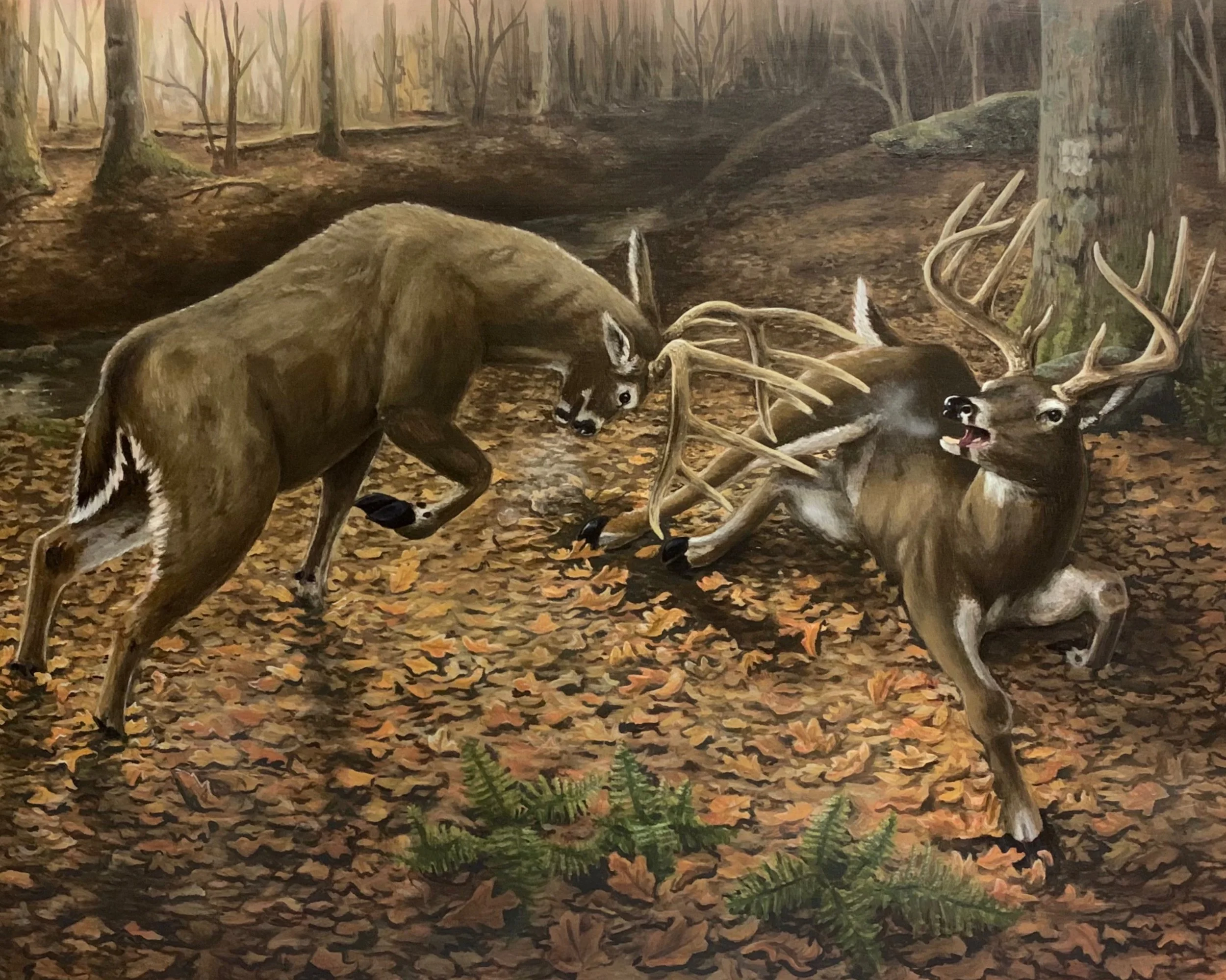 Fighting Bucks 