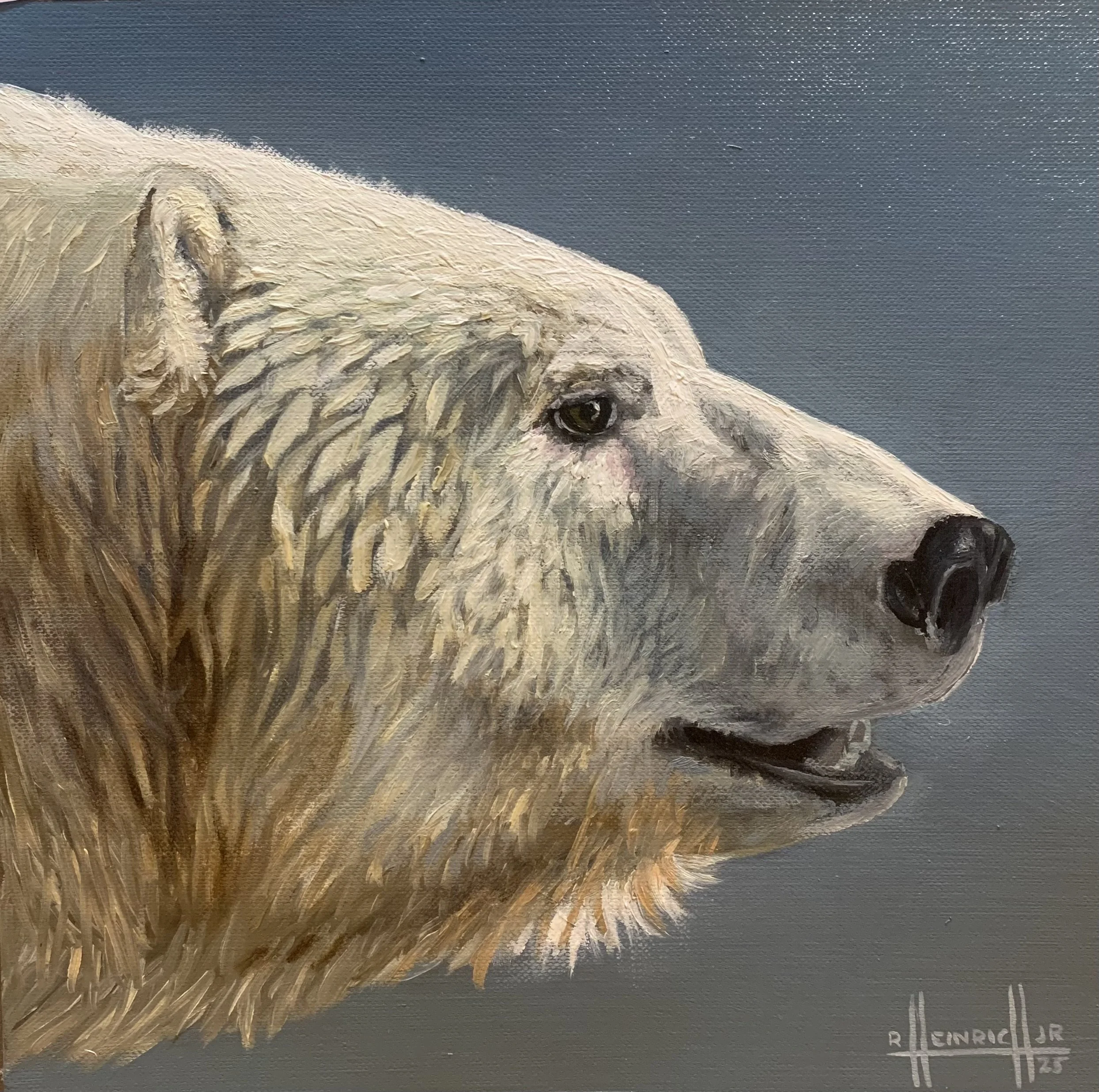 Polar Bear