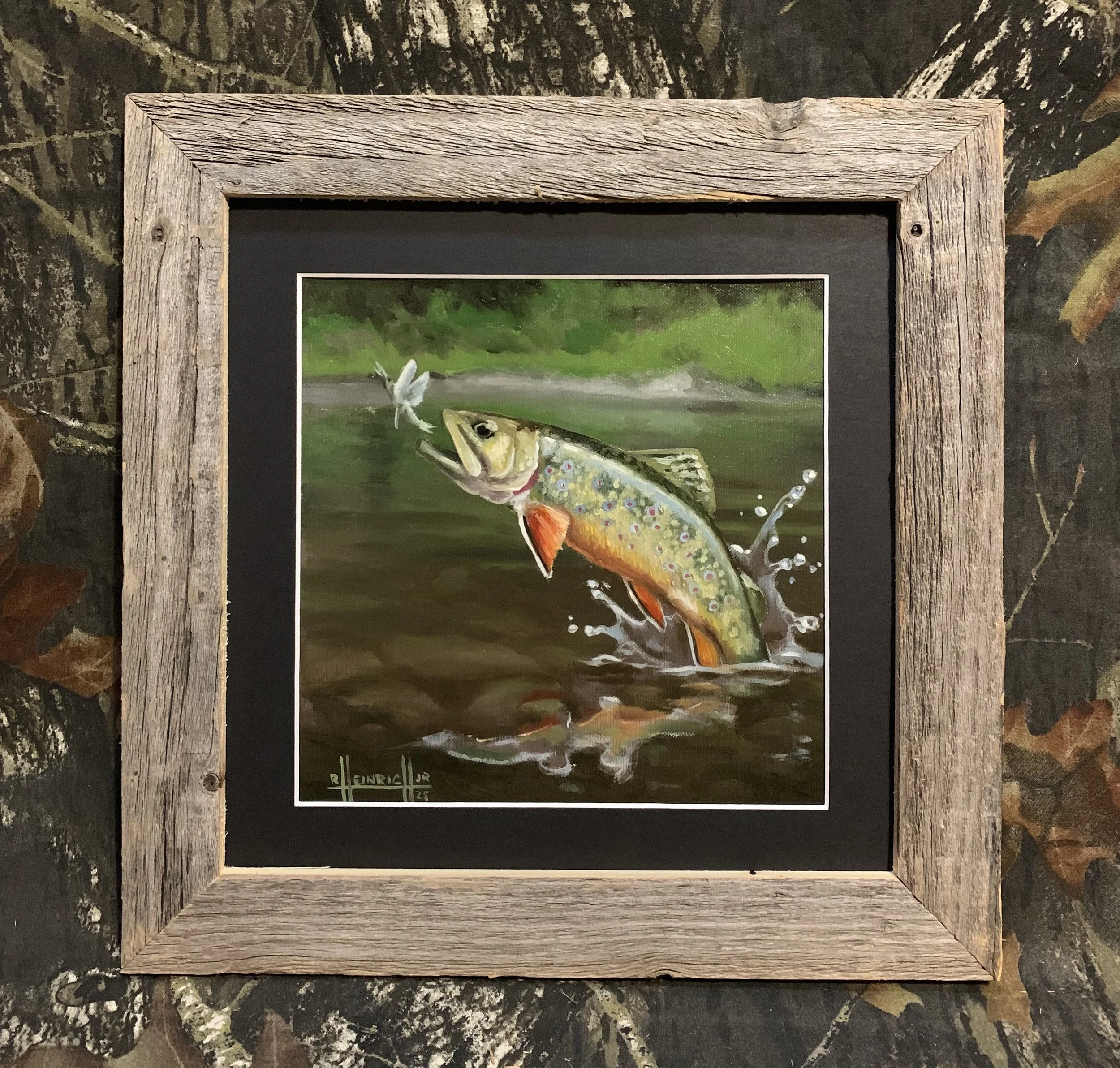Brook Trout.JPG