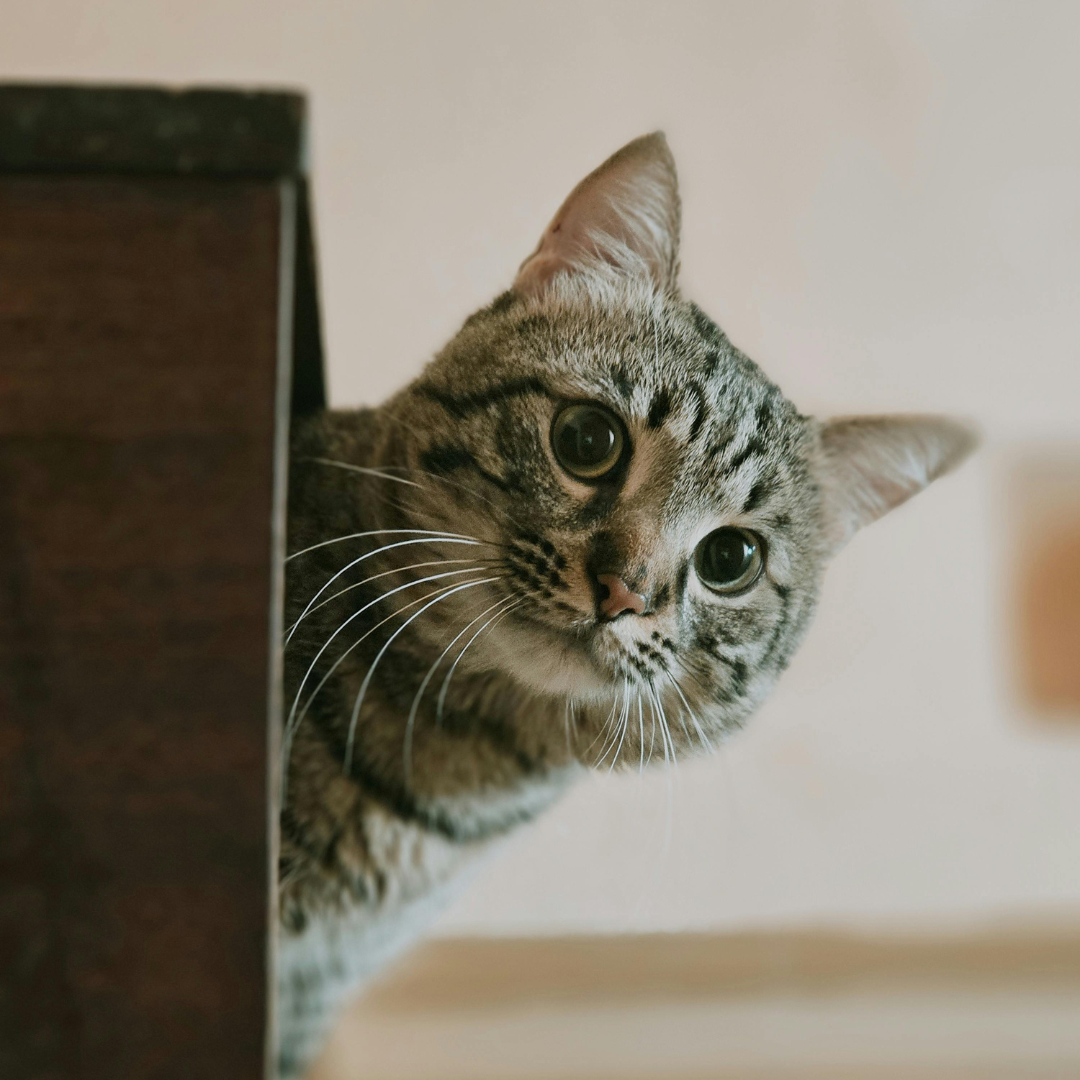 Choosing Curiosity Over Fear