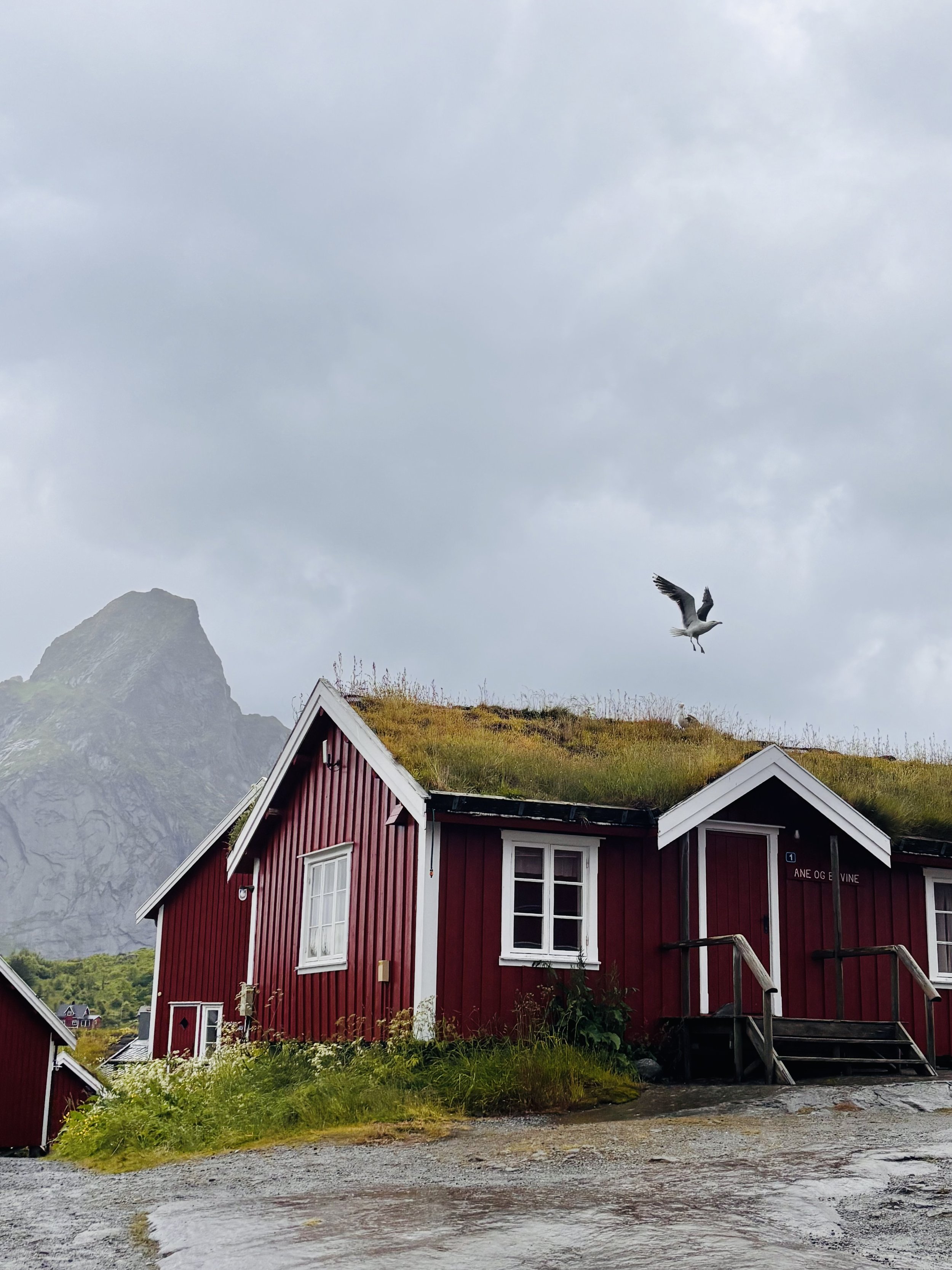 Among Fjords and Peaks. Into the North.
