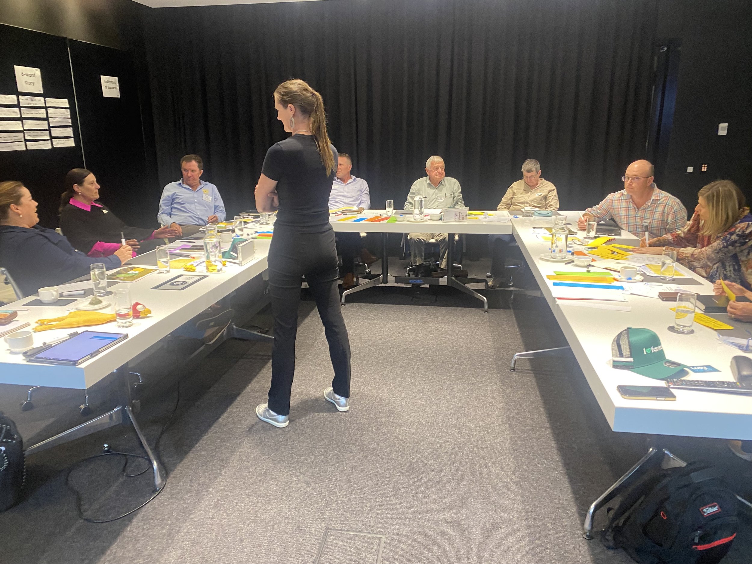 Lucy Byrne guiding a strategic planning workshop for organizational development