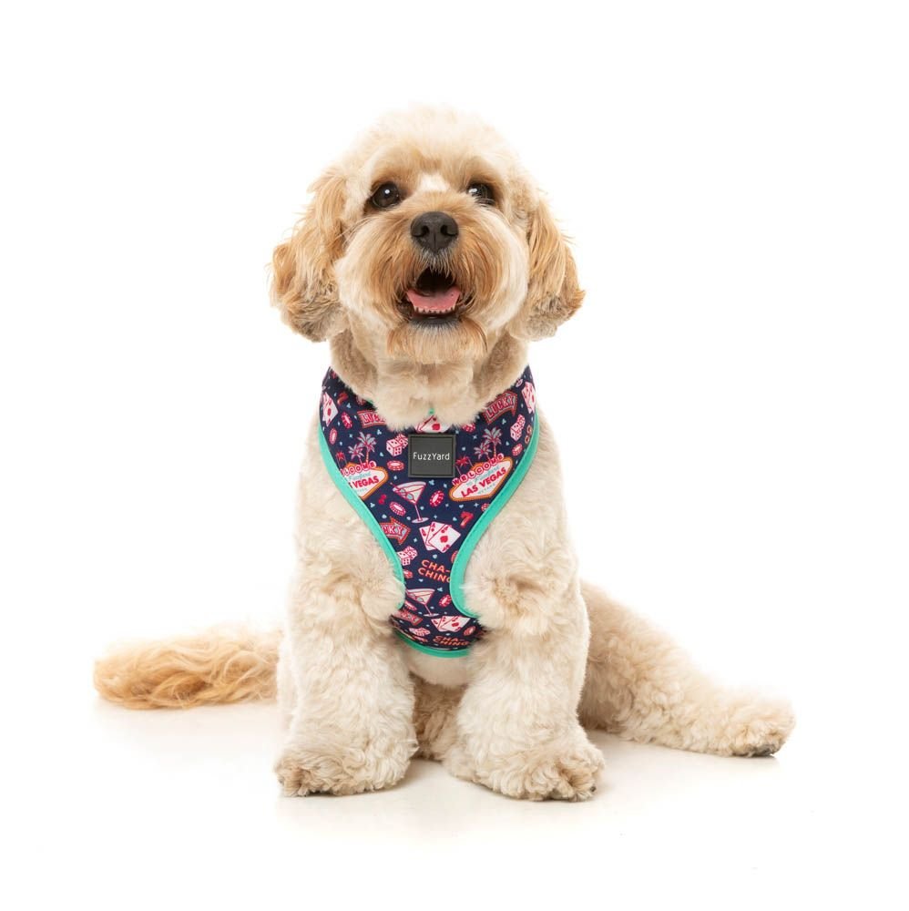 fzh857-61_harness_jackpup_dog09.jpeg