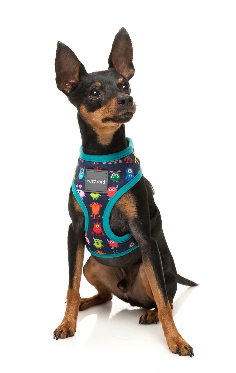 fzh522-6_harness_yardsters_dog03.jpeg