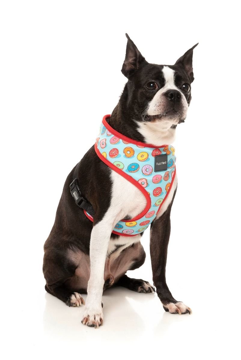 fzh707-11_harness_youdrivemeglazey_dog01_1.jpeg