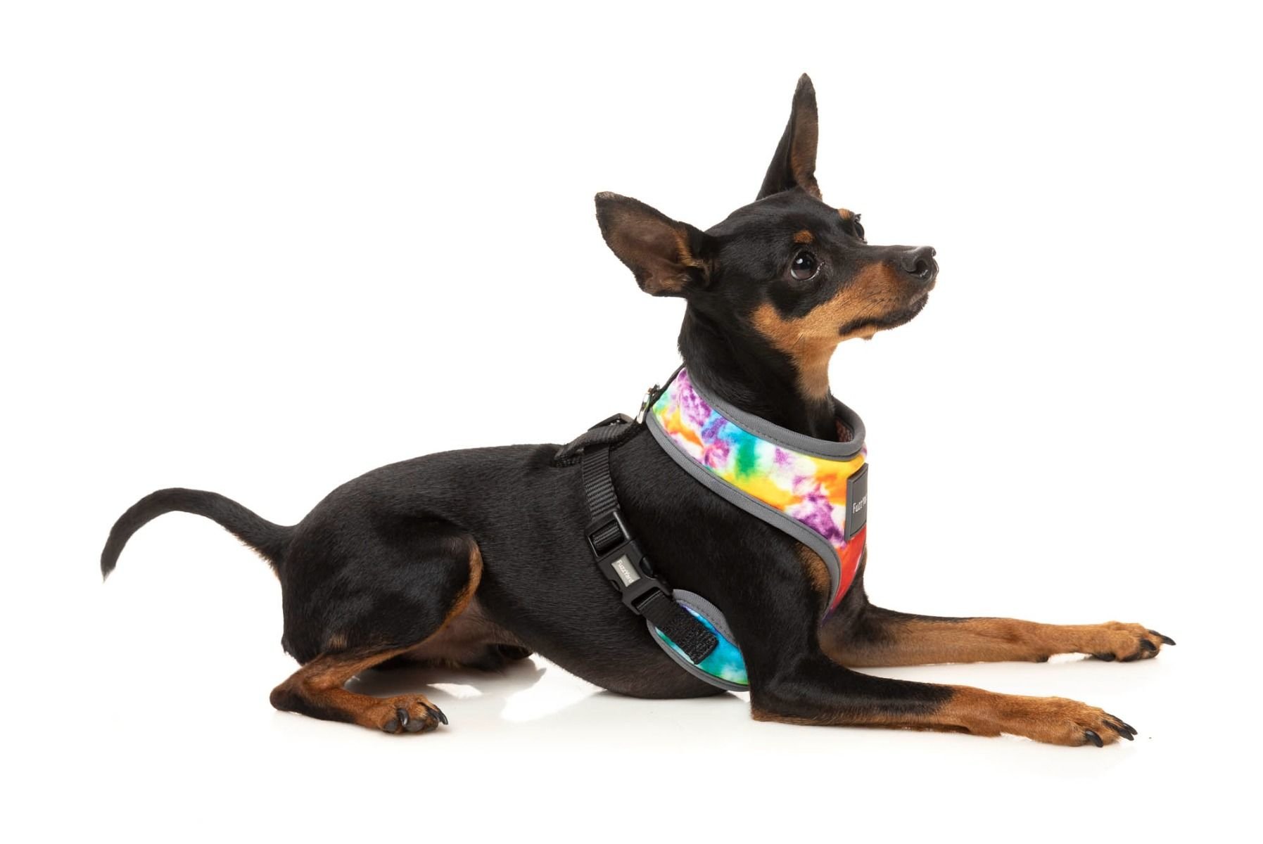 fzh597-601_harness_peaceout_dog07.jpeg