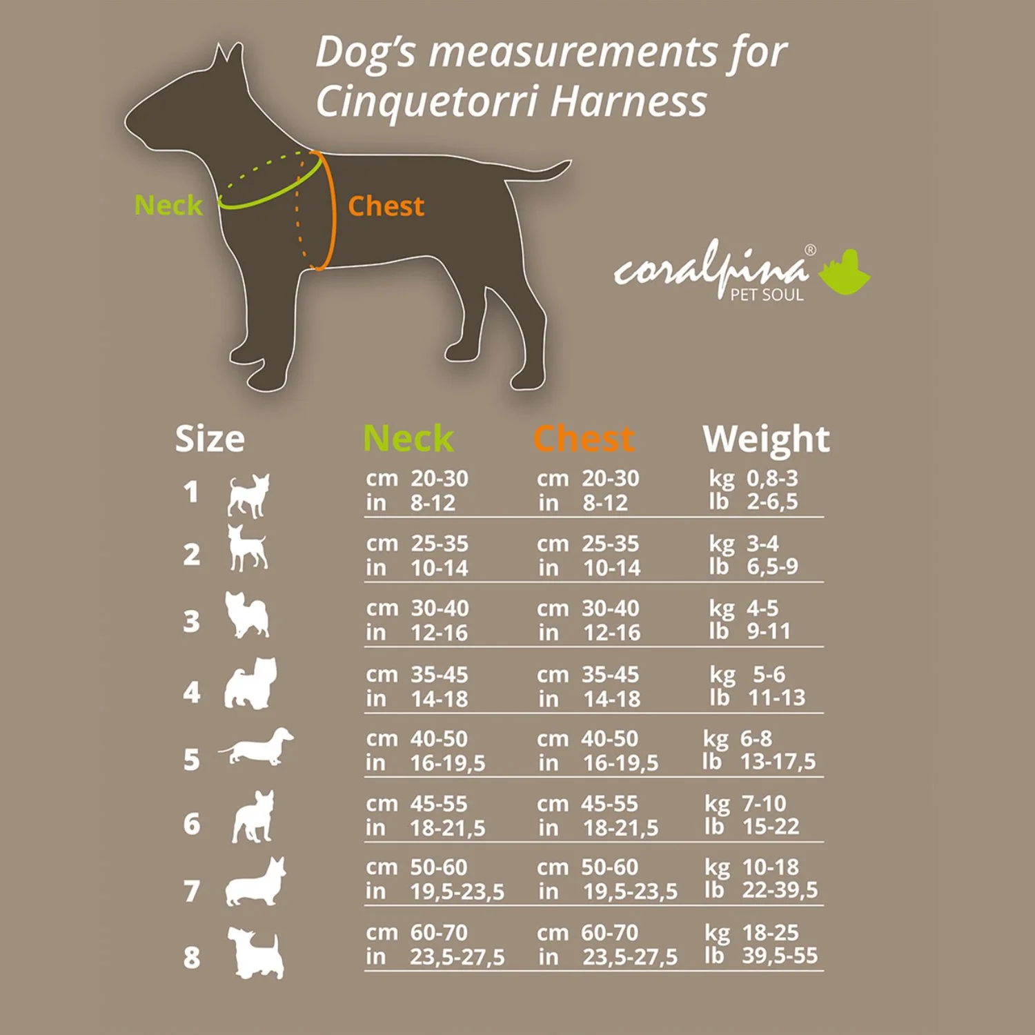 cinquetorri size.jpg