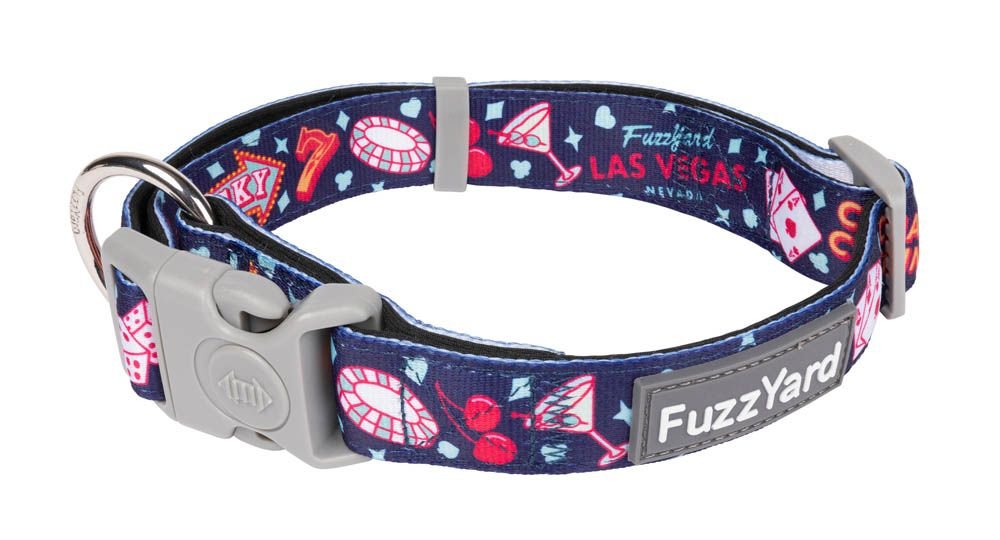 fzcl793-5_collar_jackpup.jpeg