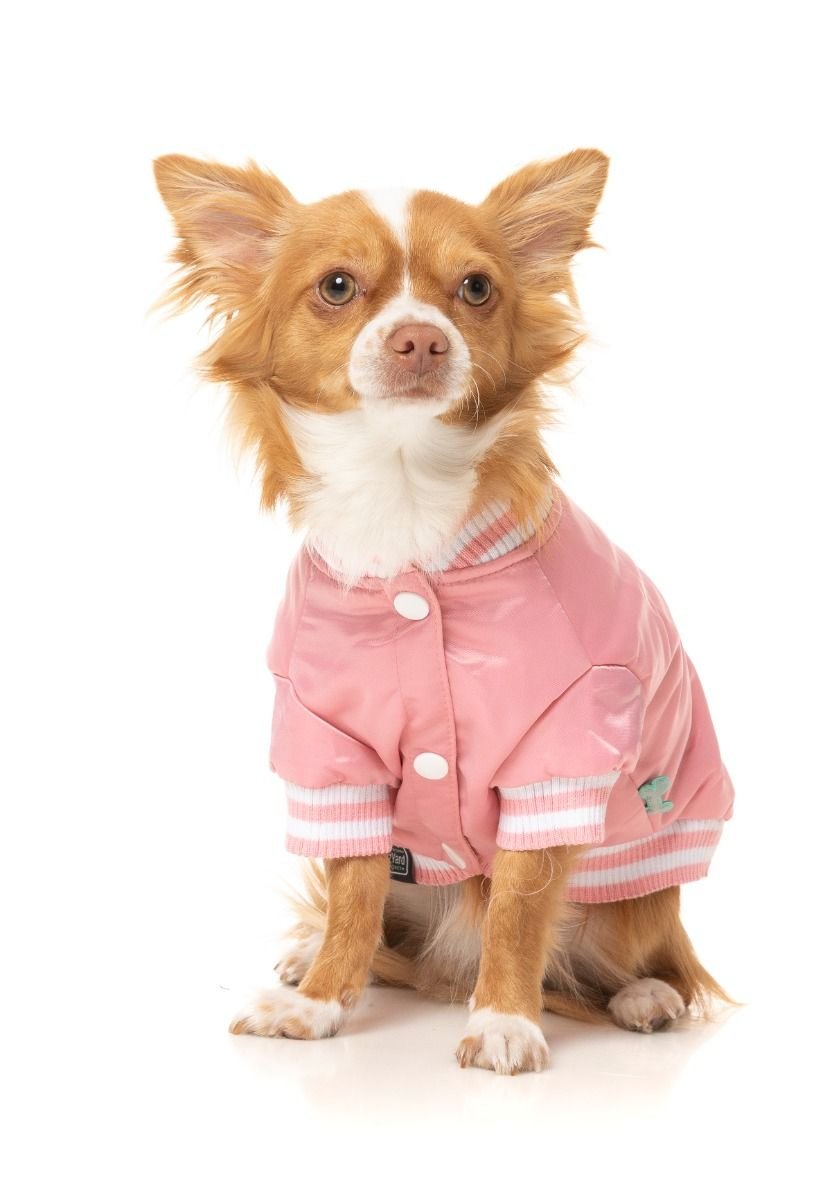 fzaw5401-7_jackets_fastball_pink_dog10.jpeg