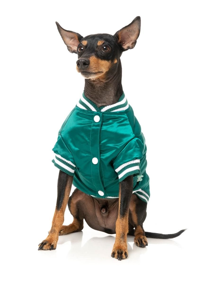 fzaw5391-7_jackets_fastball_green_dog10.jpeg
