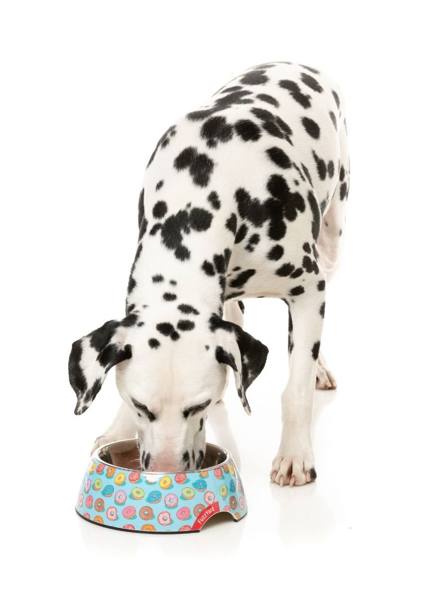 fzf79-81_bowl_youdrivemeglazey_dog02.jpeg