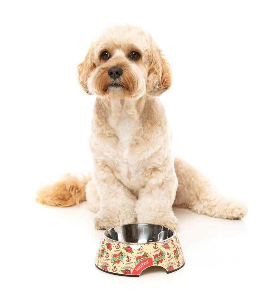 fzf70-2_bowl_inkdup_dog08.jpeg
