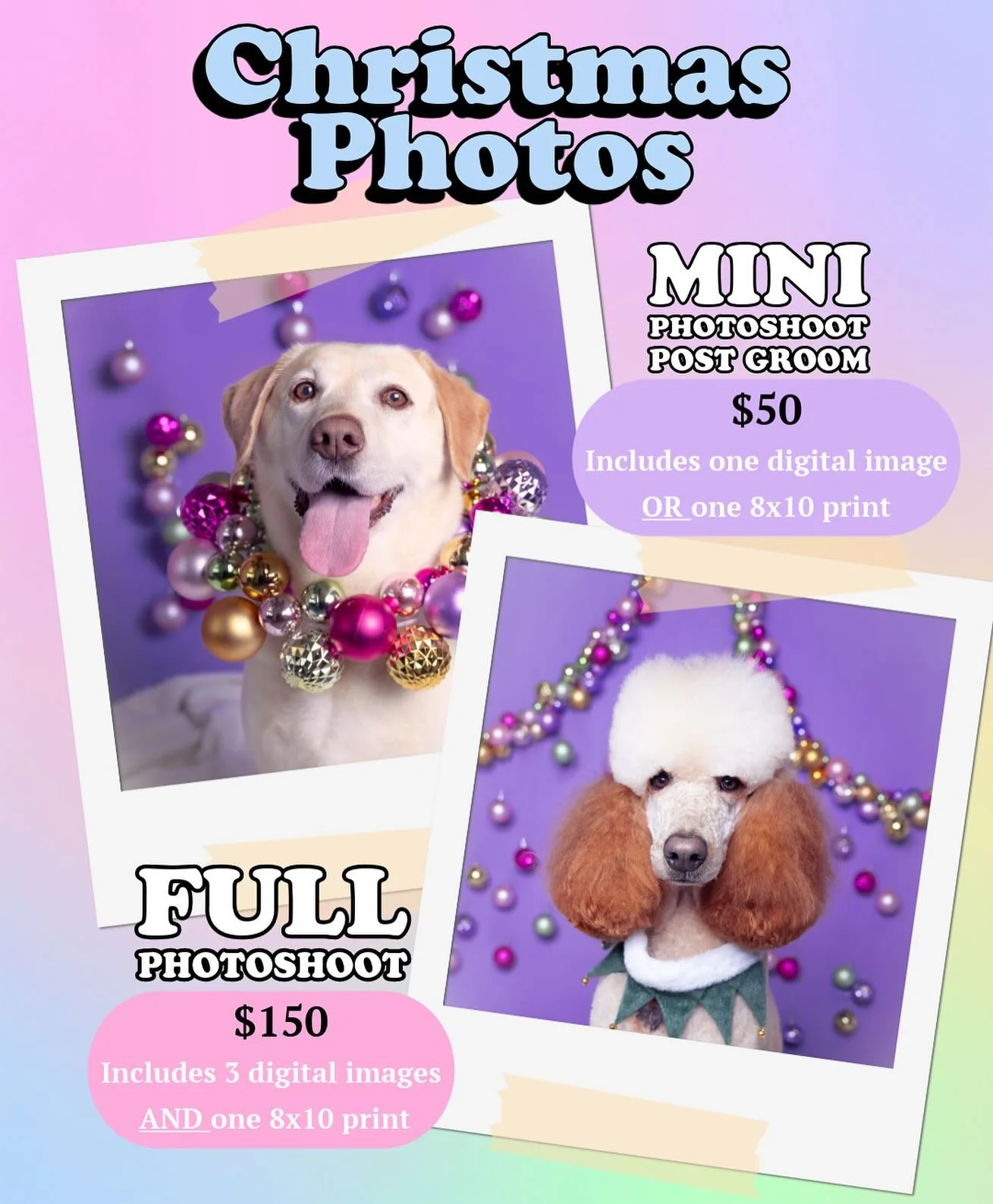 Deck the Halls with bow wows of holy - the Studio 50 Paw Christmas photos are back! Give yourself the gift of gorgeous photos of you and your fur friends this holiday season. Perfect for personalised Christmas cards and a fun way to immortalise you a