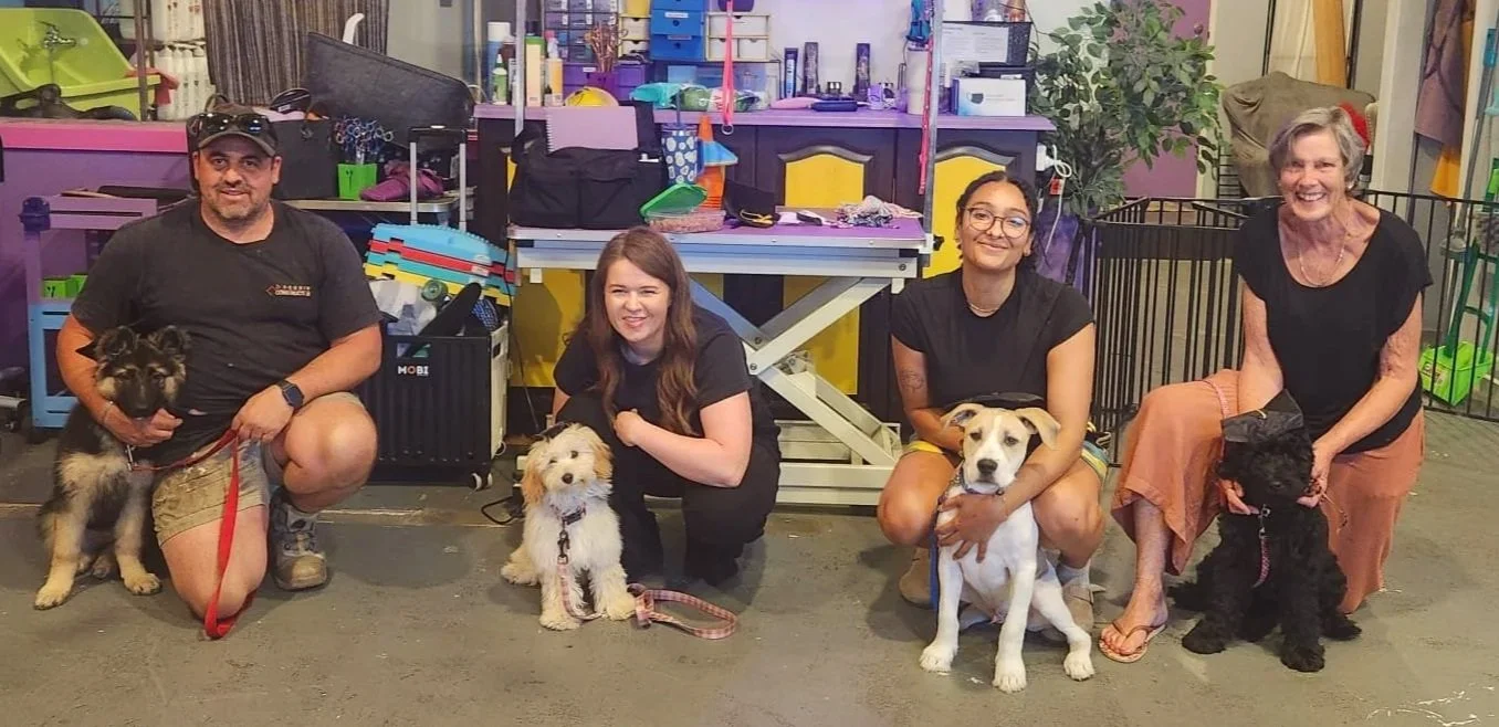 Puppy School Graduates Dec 2025
