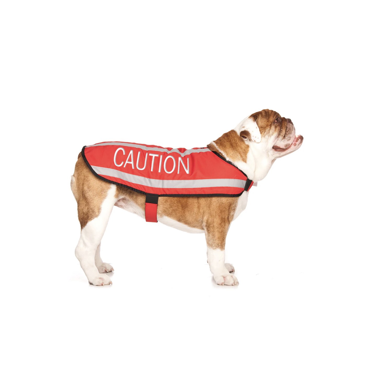 caution m.jpg