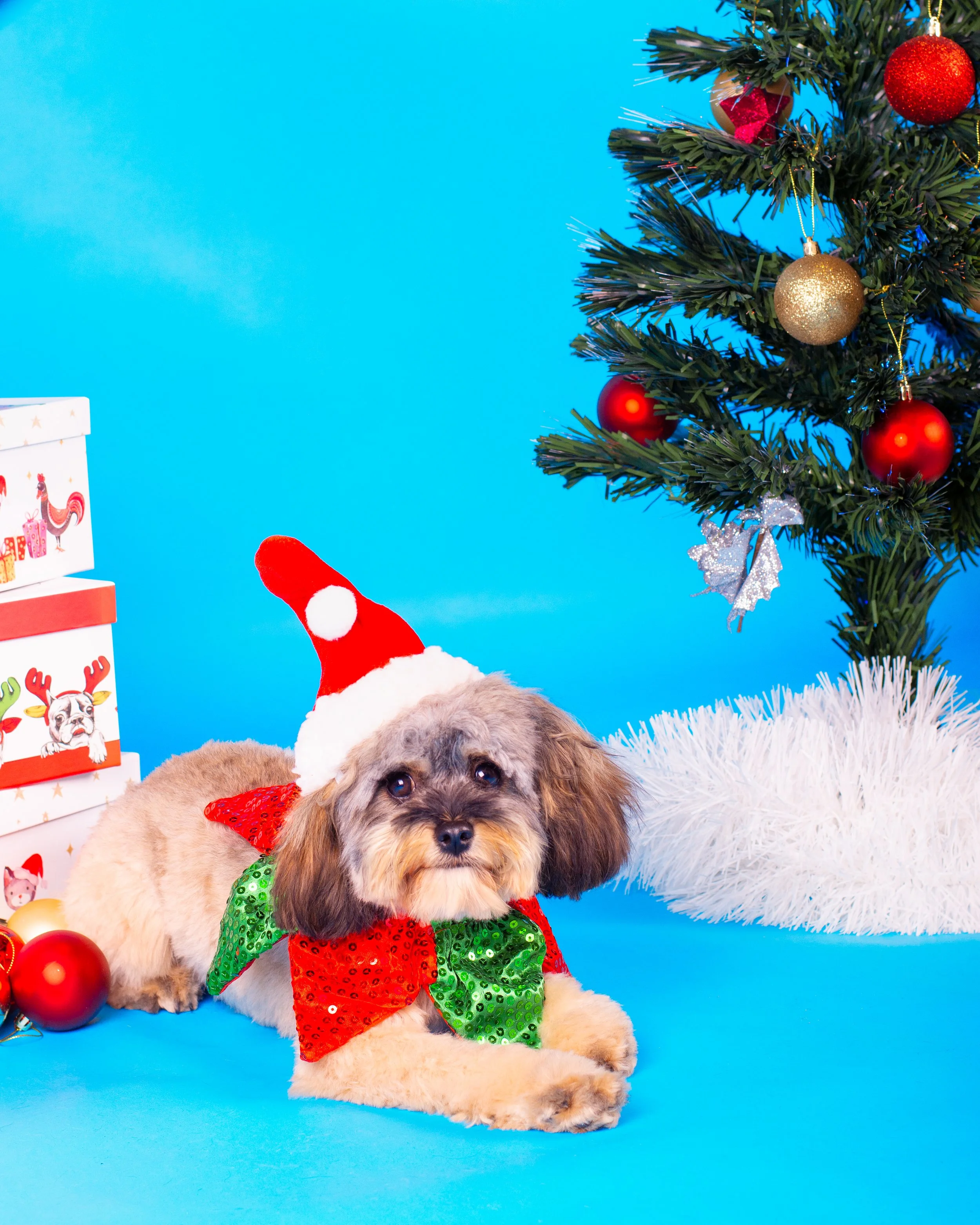 christmas NWM-4.jpg