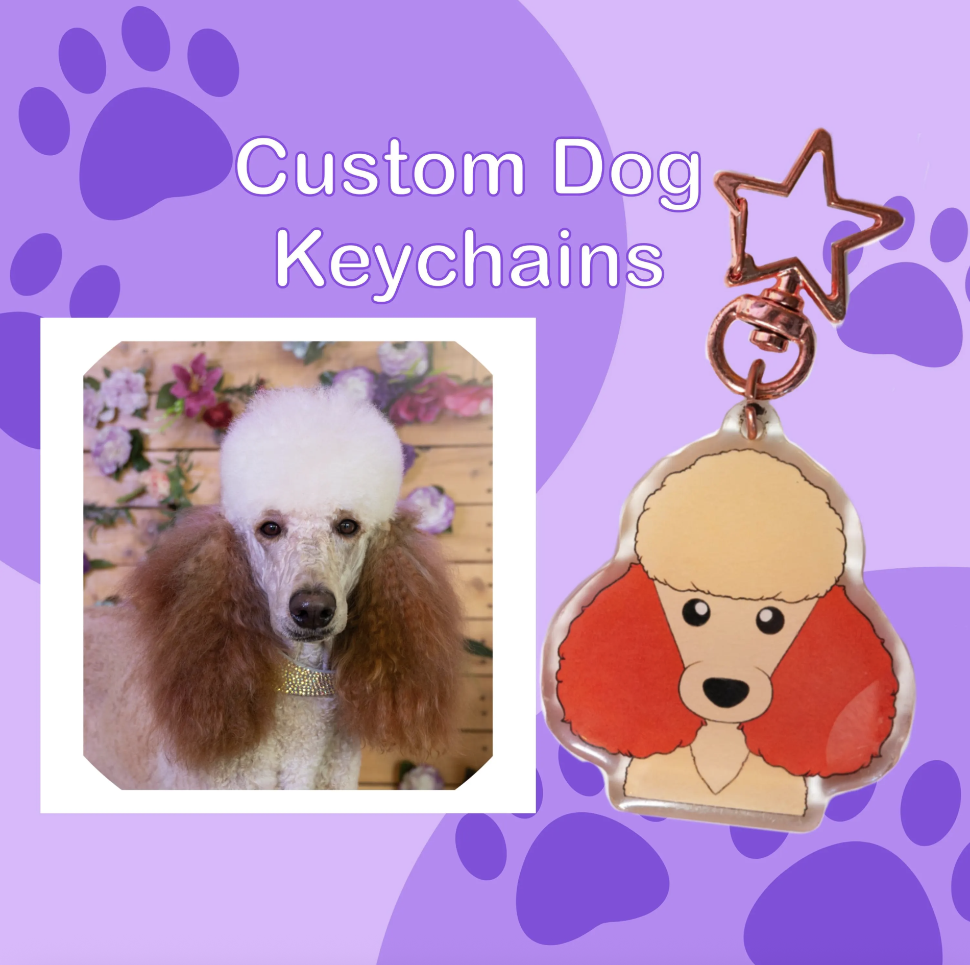 Screenshot 2025-11-19 at 3.31.22 pm.png