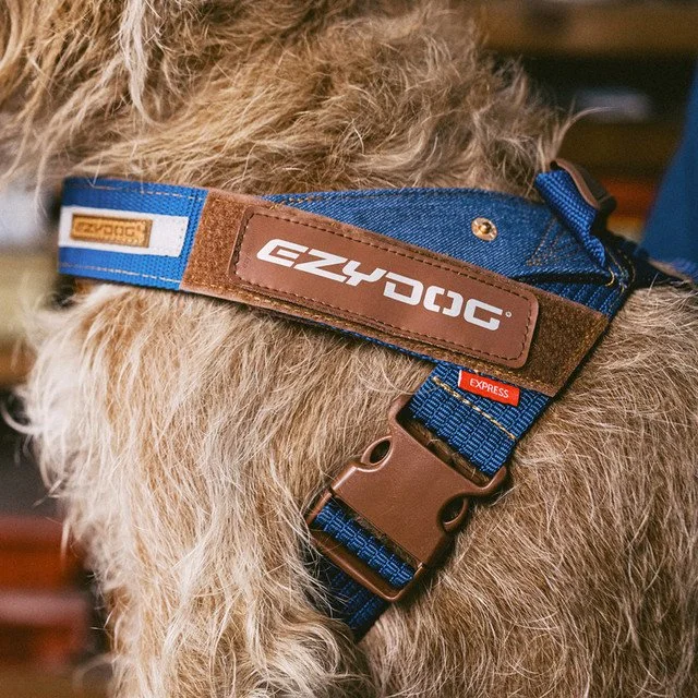 EZYDOG Express Harness — Studio 50 Paw