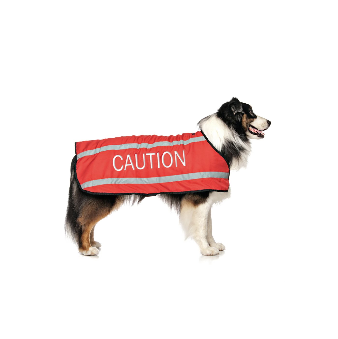 caution l.jpg