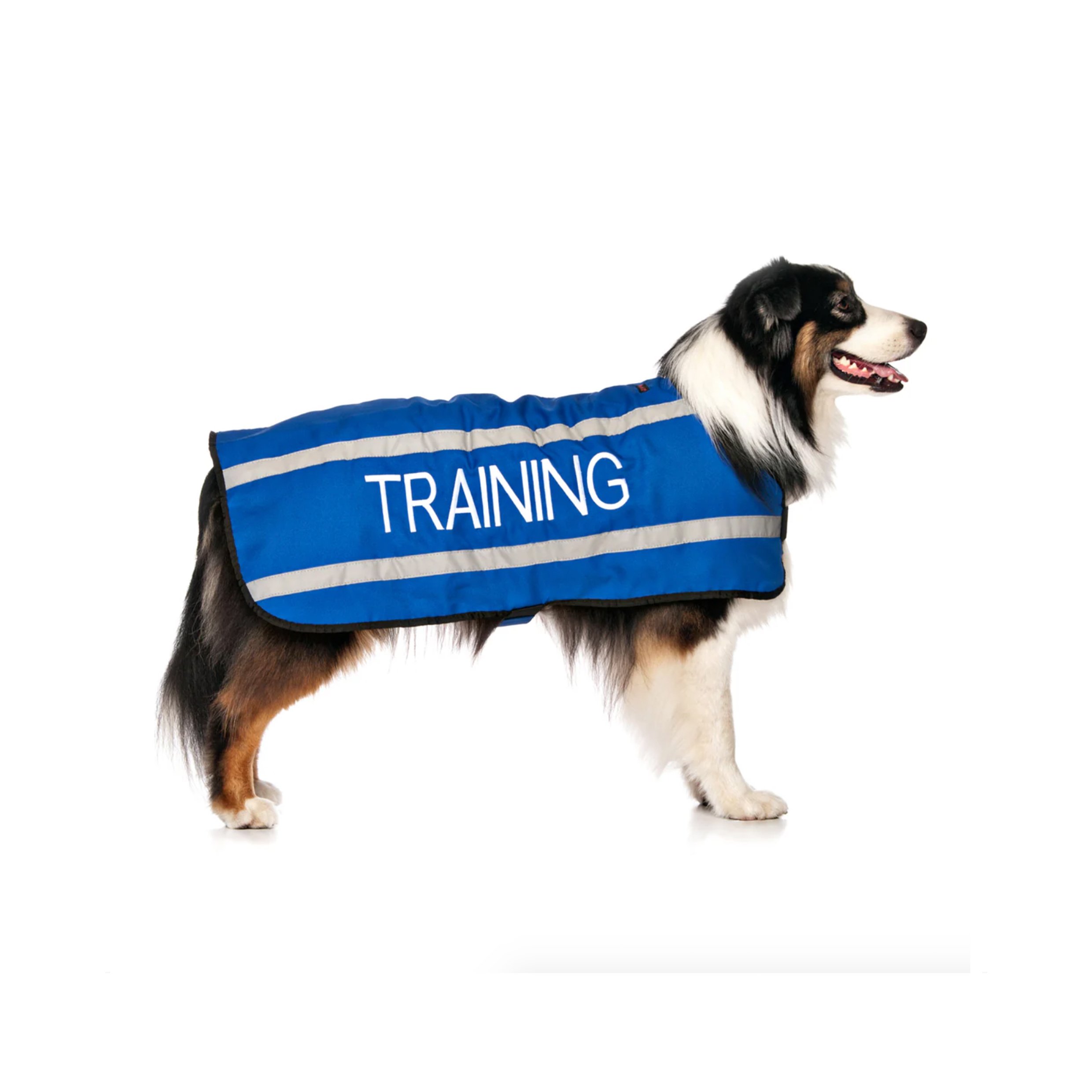 training l.jpg