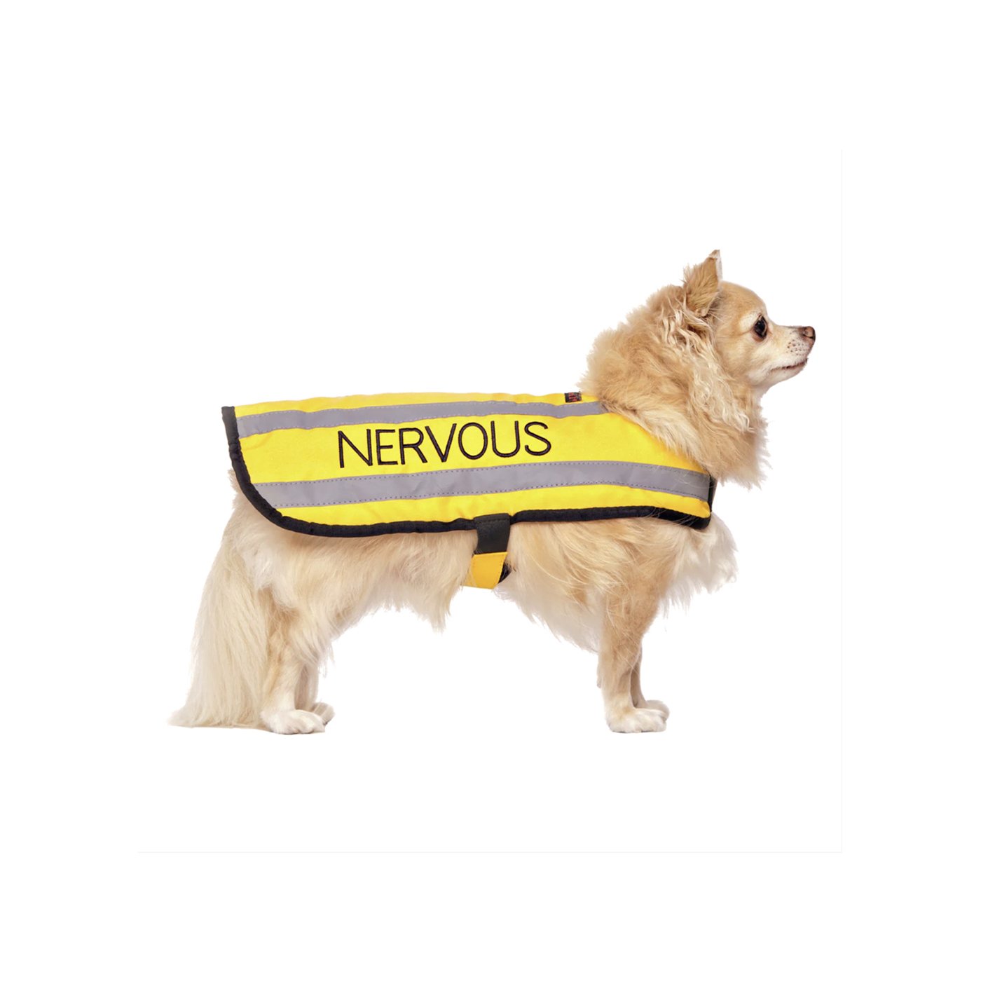 nervous s.jpg