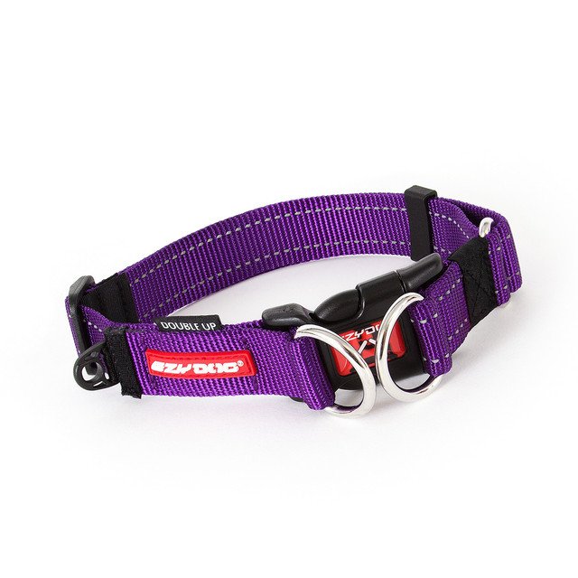 Double-Up-Purple__41245.jpeg