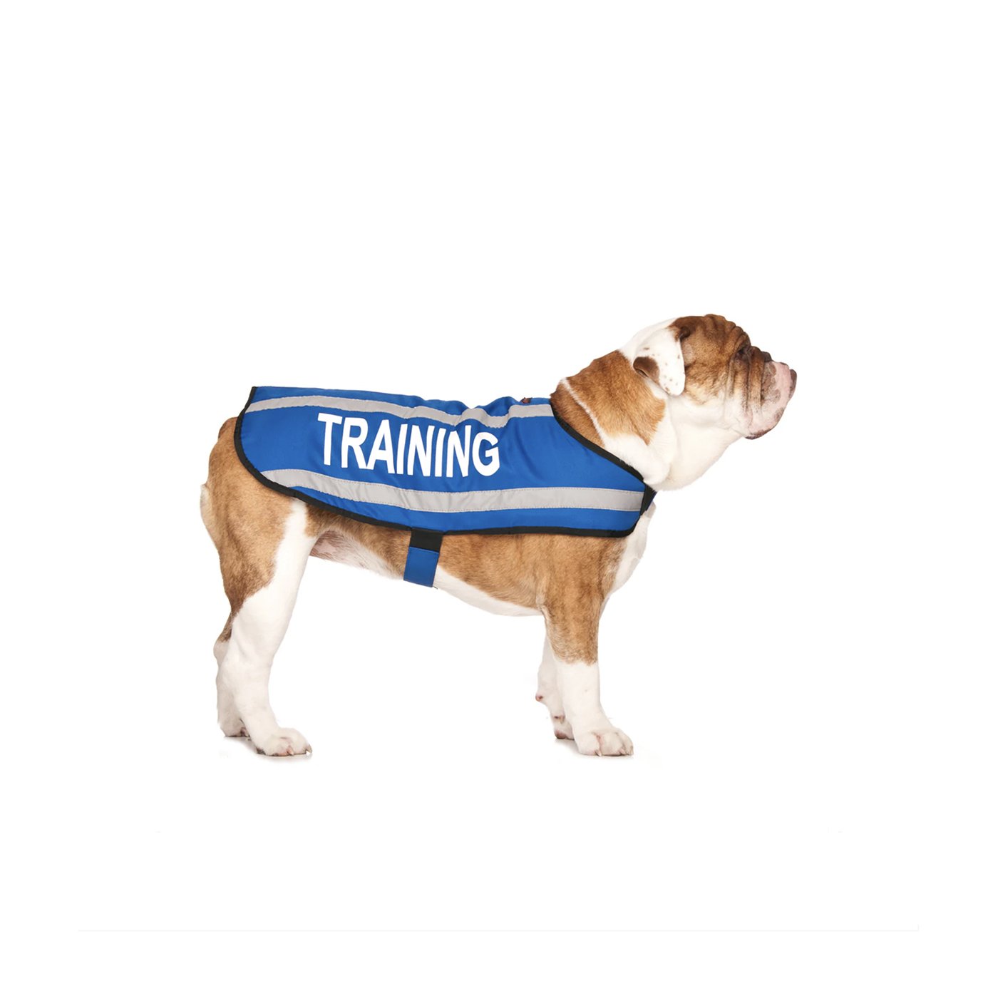 training m.jpg