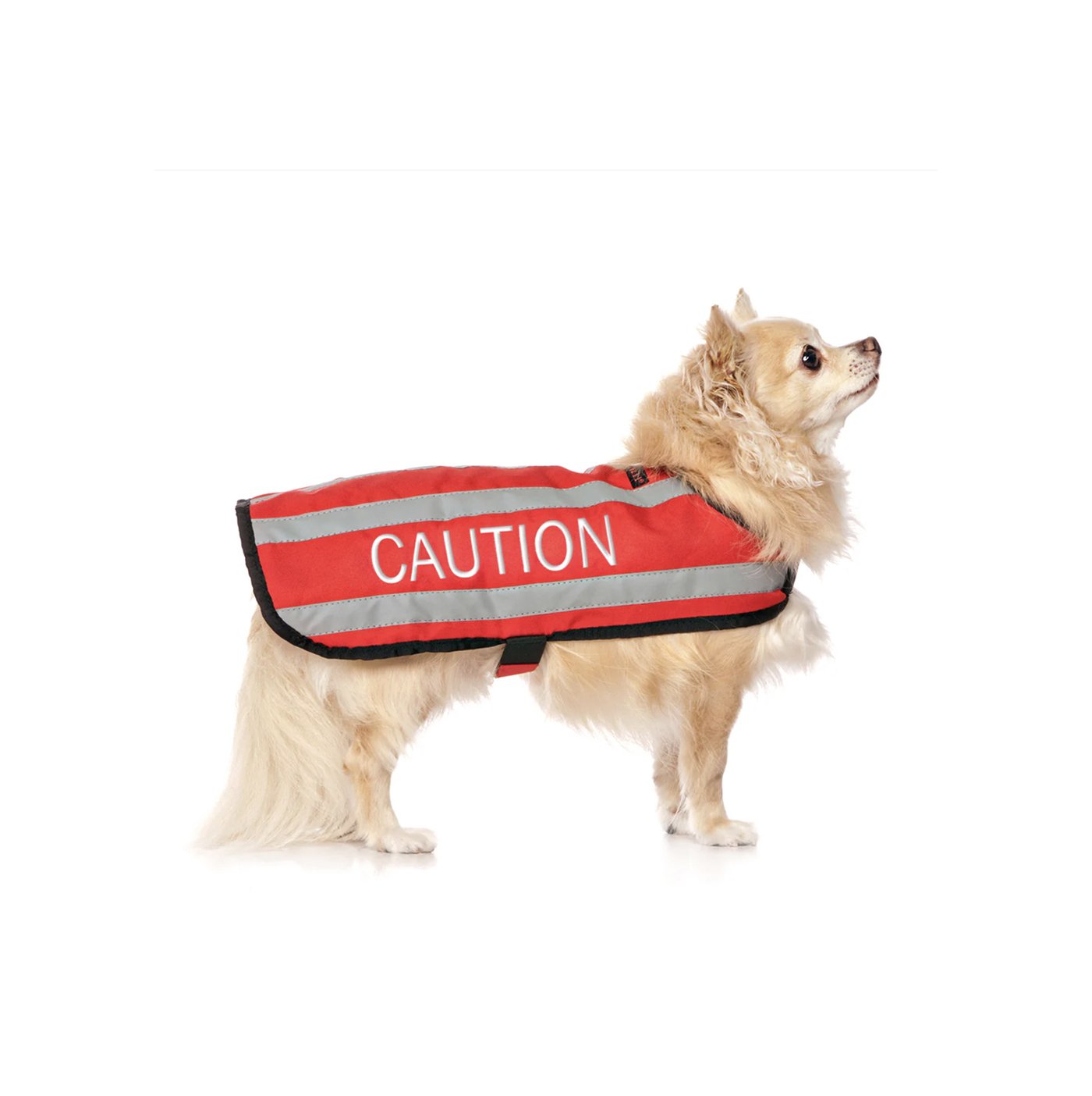 caution s.jpg