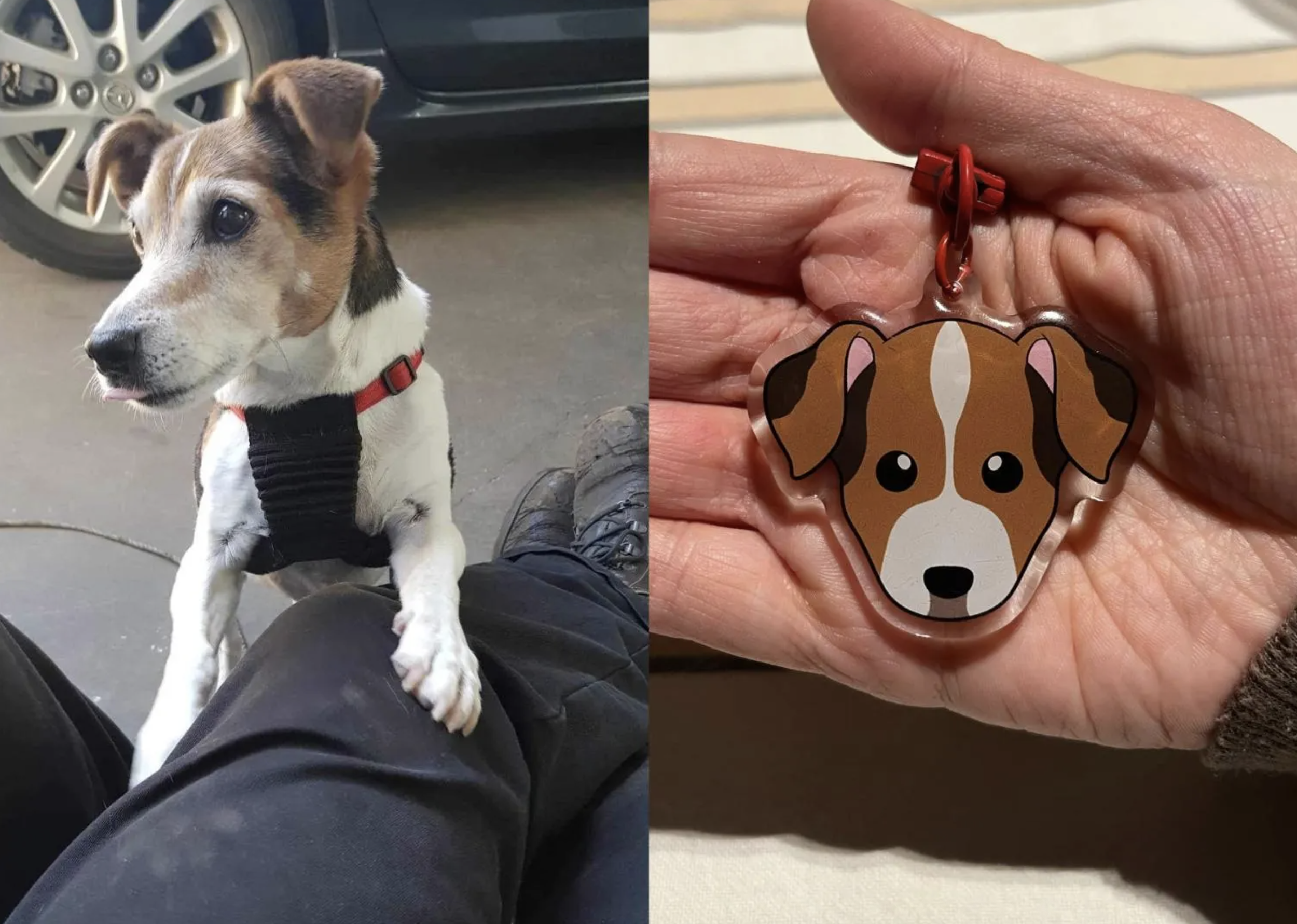 Screenshot 2025-11-19 at 3.31.46 pm.png