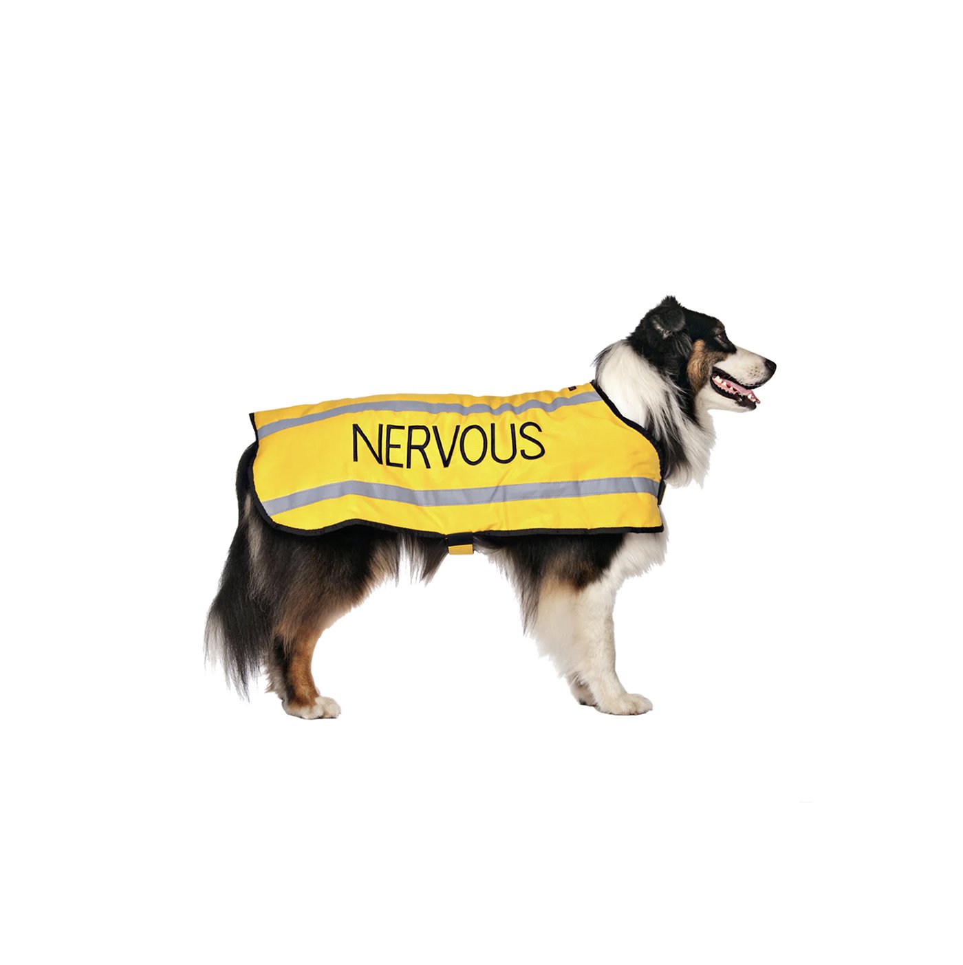 nervous l.jpg