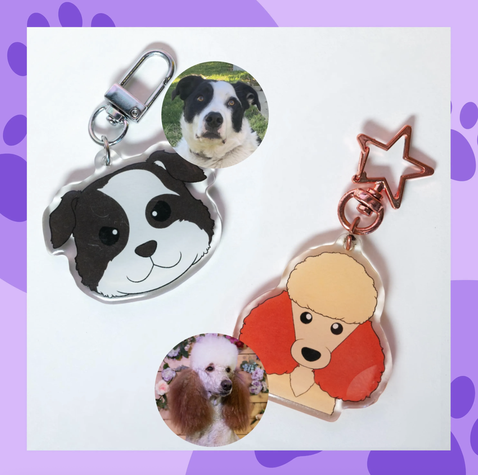 Screenshot 2025-11-19 at 3.31.32 pm.png