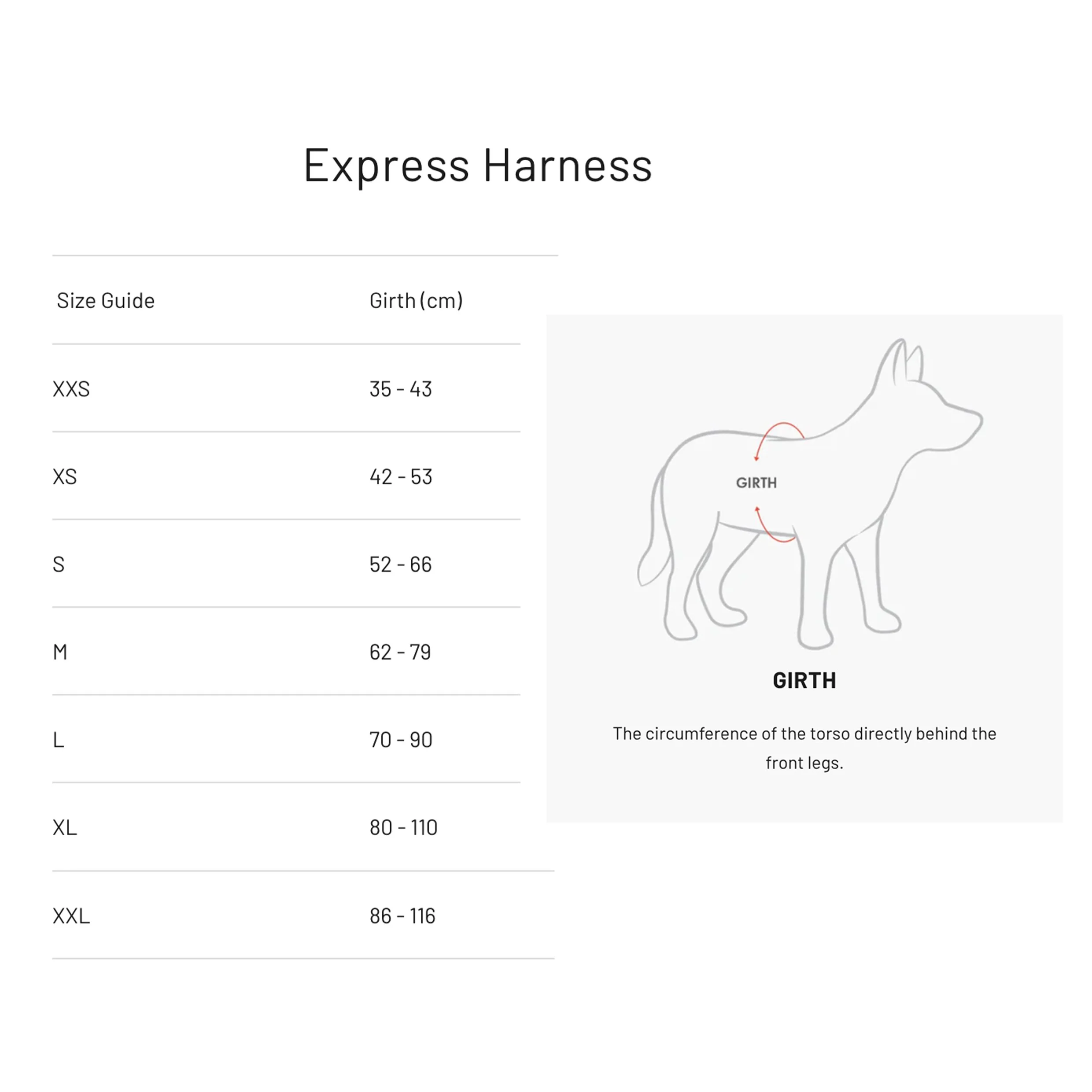 ezydog express harness.jpg