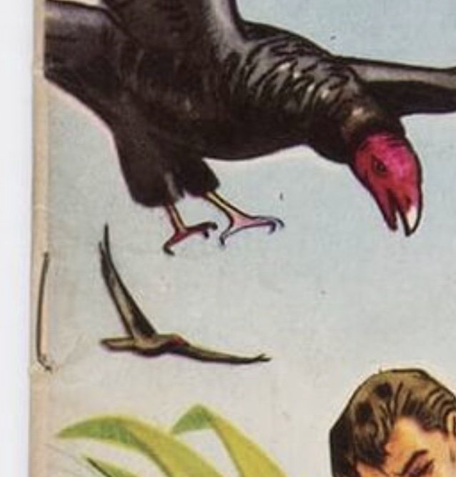 Image 16.jpeg