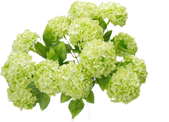 6117XmLeRLL._AC_SX679_.png