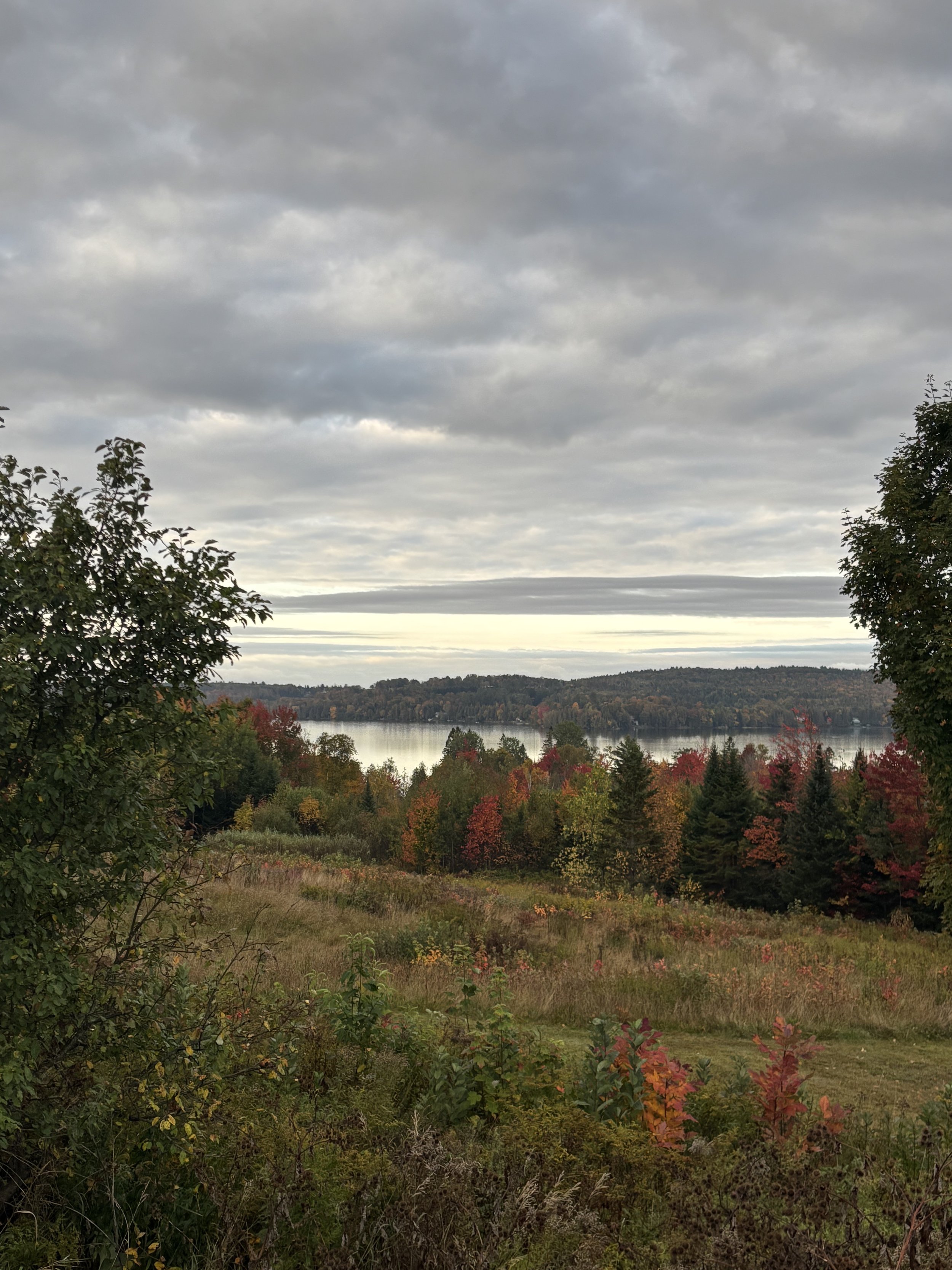 A Year of Storytelling, Connection, and Momentum