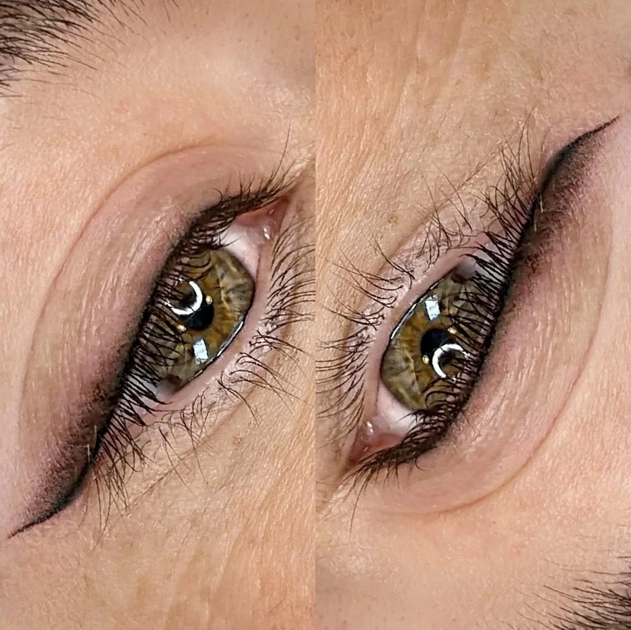 Shaded Wing Eyeliner 