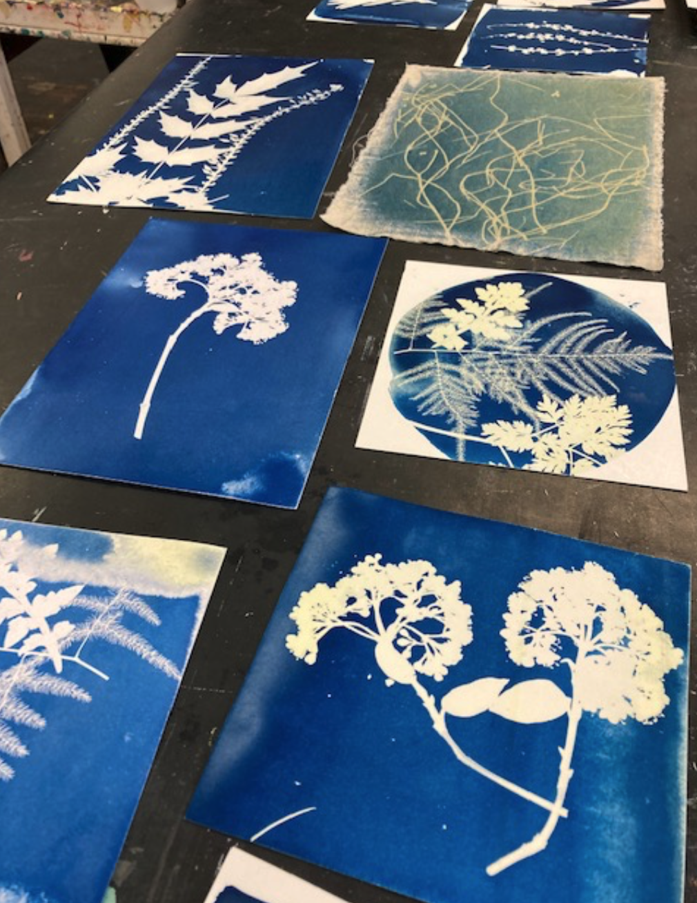 Screenshot 2026-04-26 at 4.59.32 PM.png