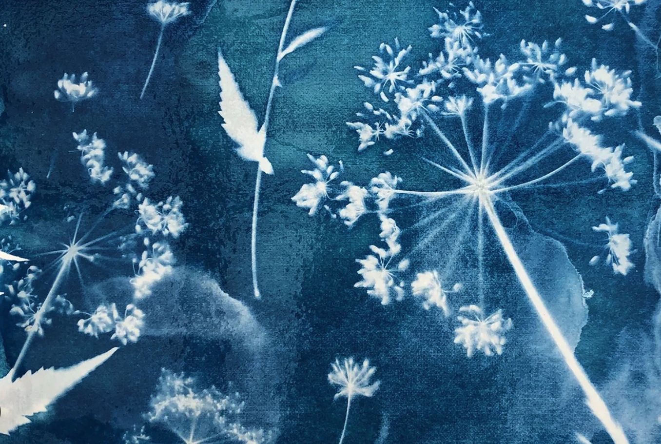 Screenshot 2026-04-26 at 5.02.47 PM.png