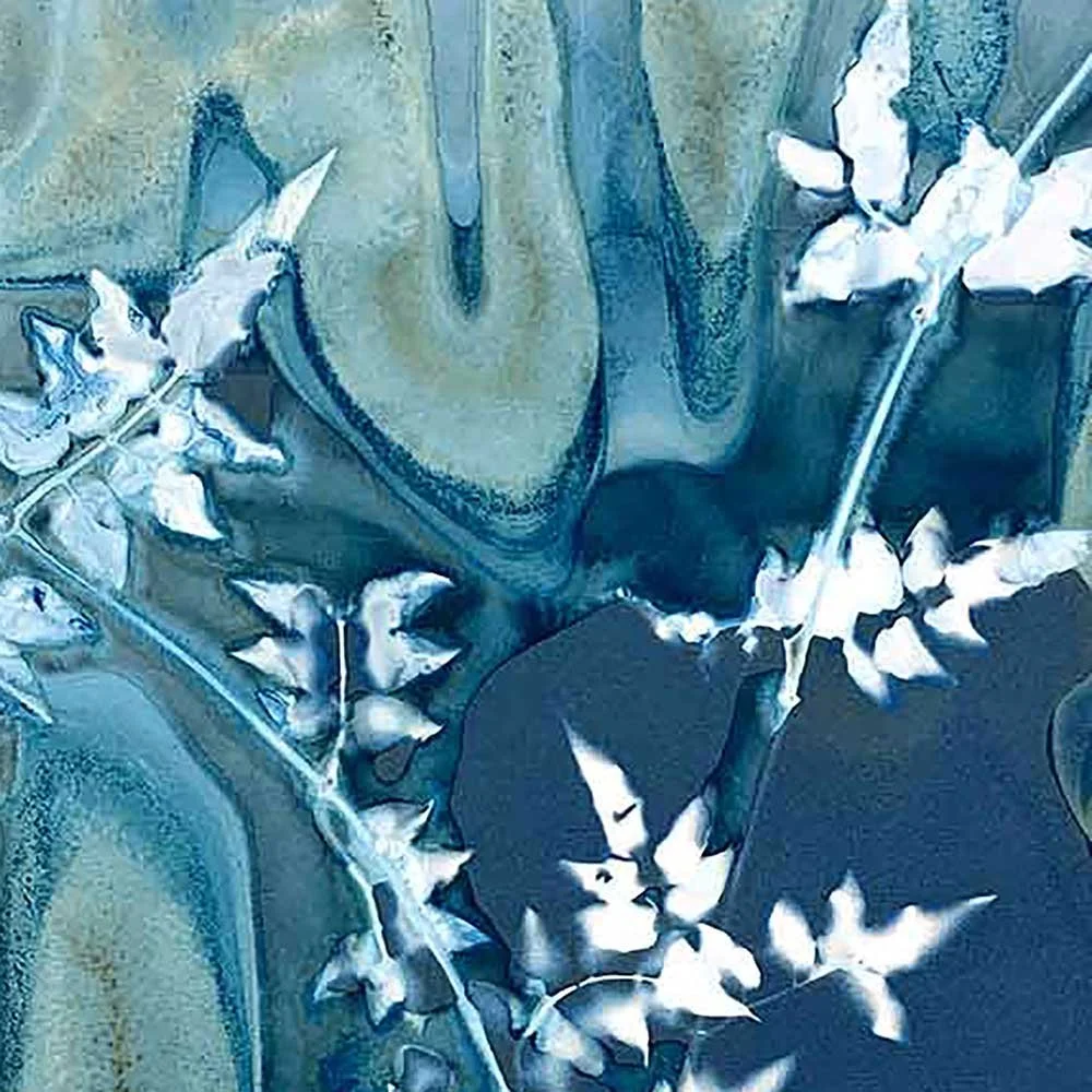 cyanotype-online-workshop-wetcyanotype-1w.jpg