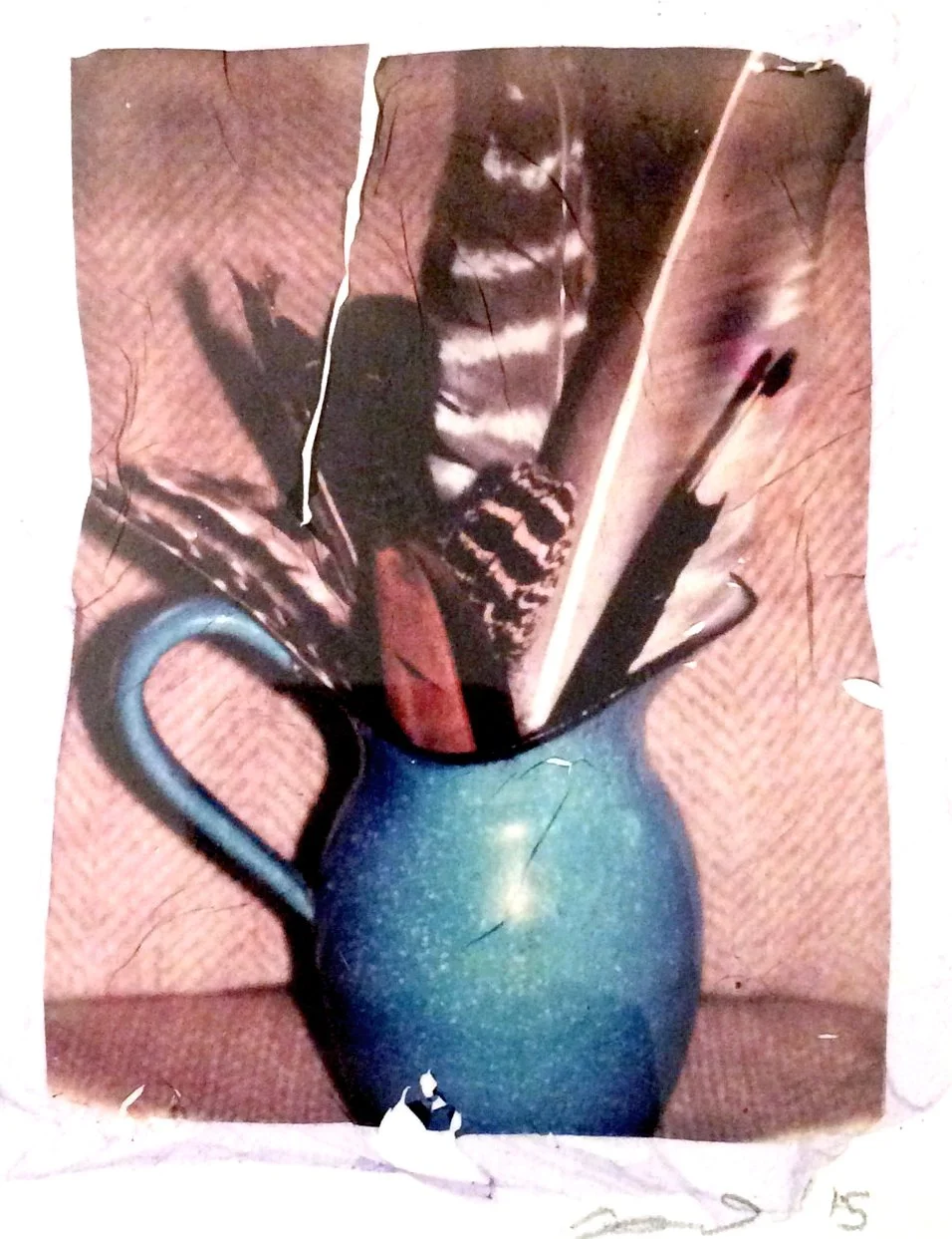 feathers emulsion lift.jpg