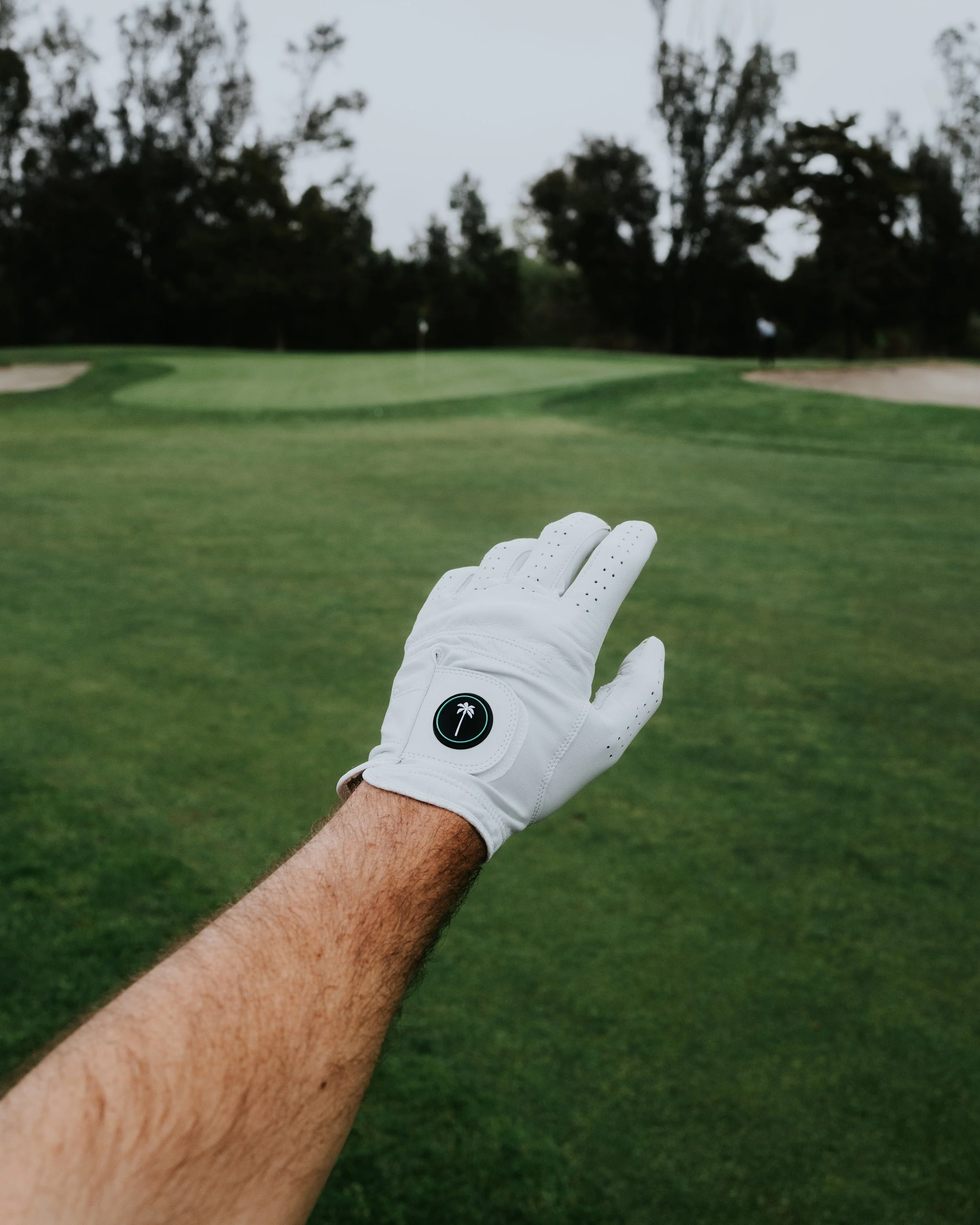 A person wearing a white golf glove with a black circle logo featuring a white palm tree, preparing to hit a golf ball on a green golf course.