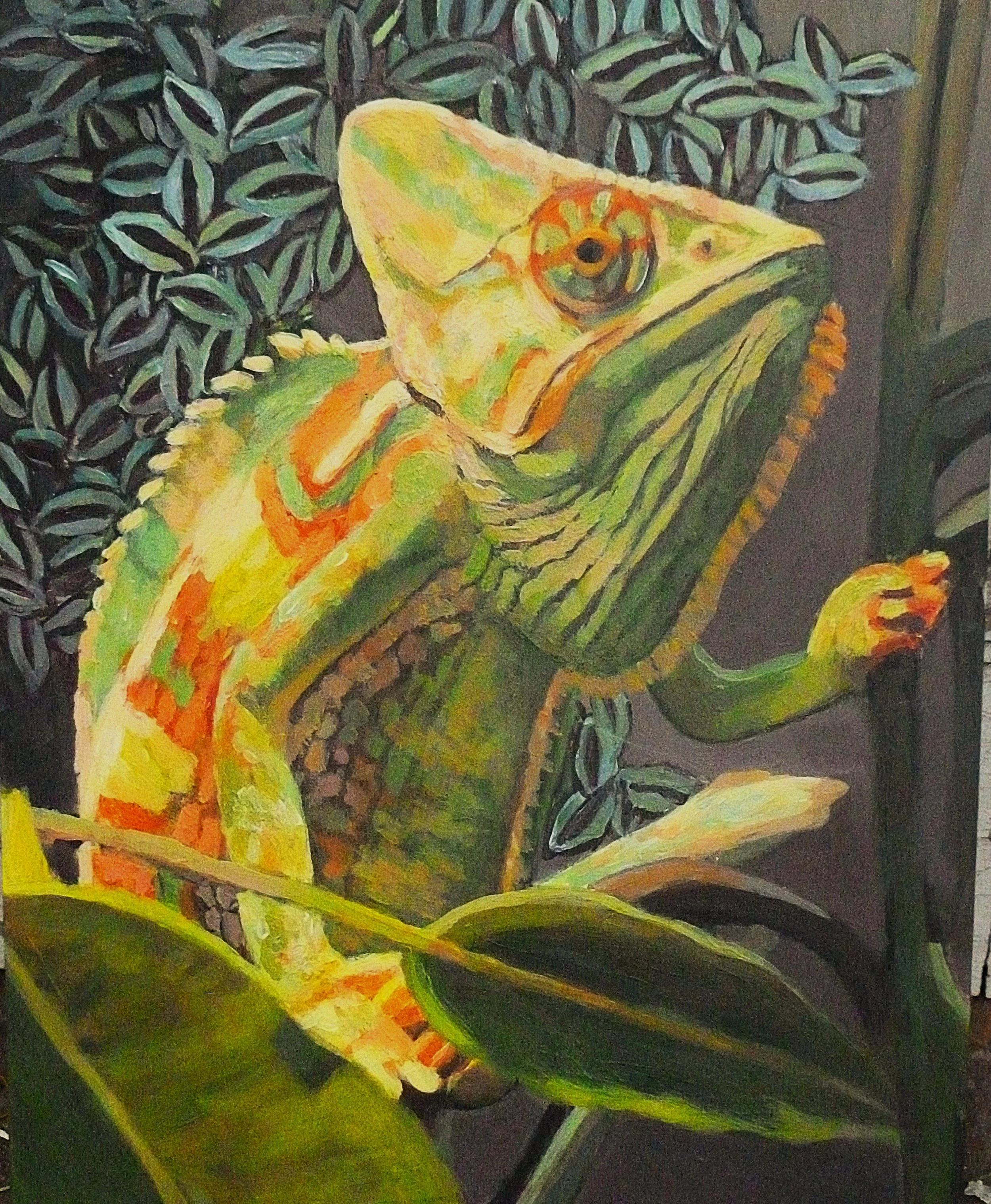 Lizard Portrait from Andrew.JPG