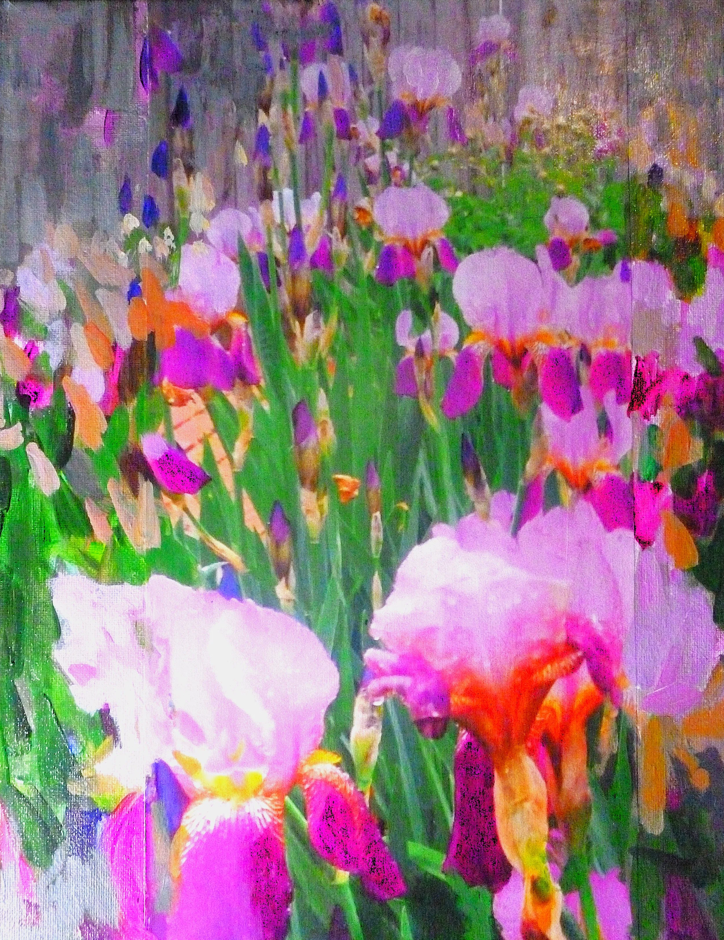 Image from Andrew Fagin.JPG