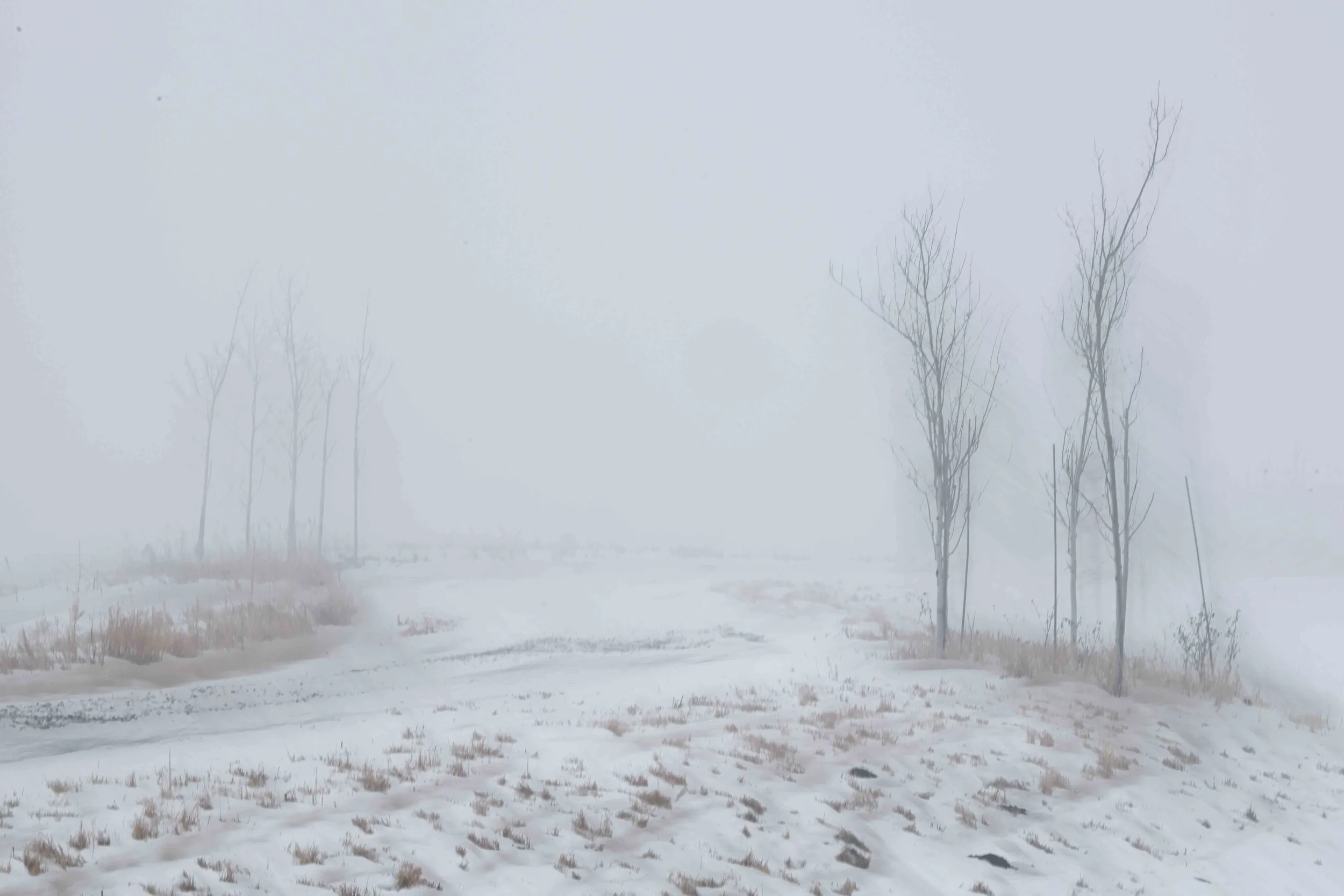 multiple image criss cross technique on a foggy winter morning.