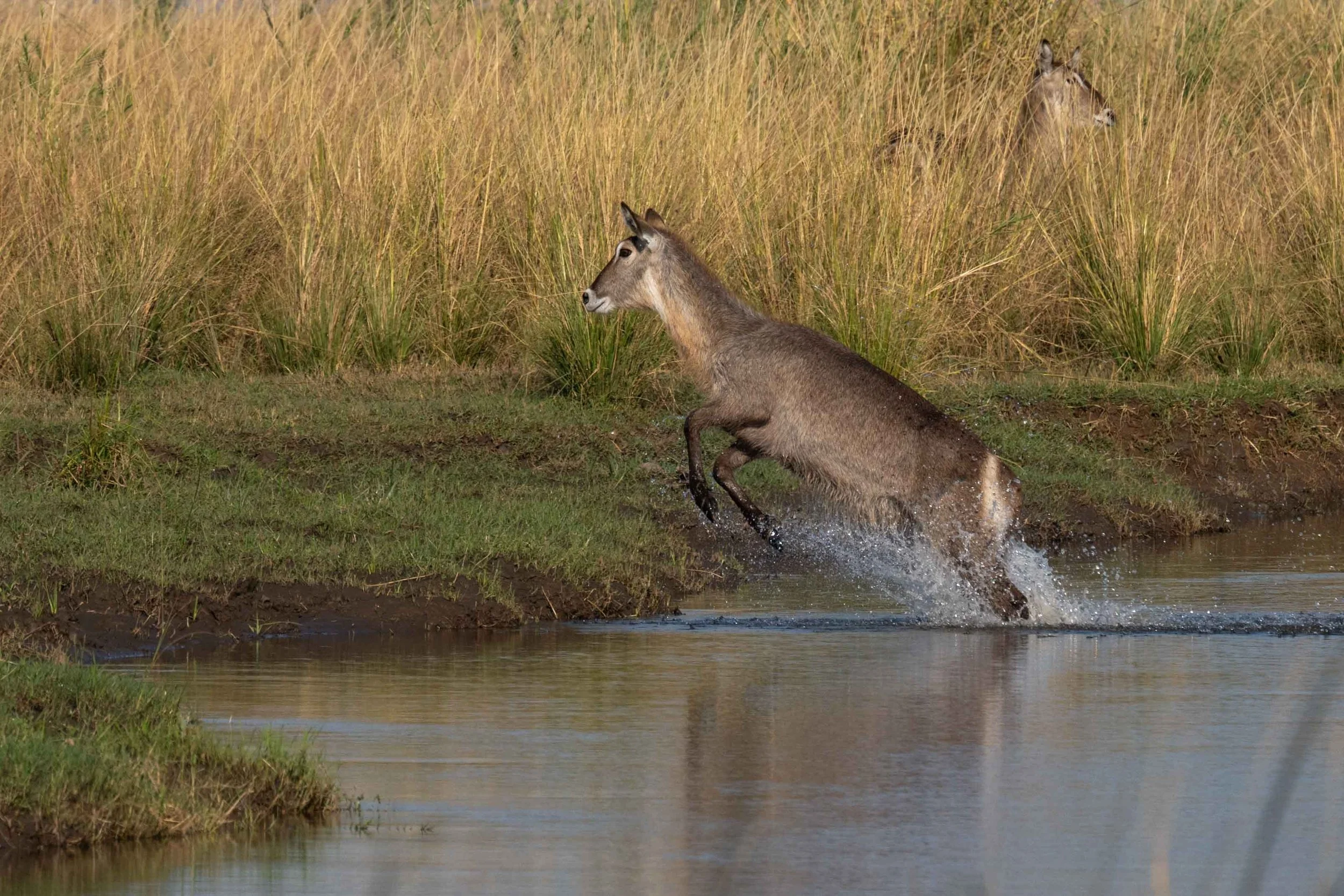 zambia - June 19 - IMG_00009.jpg